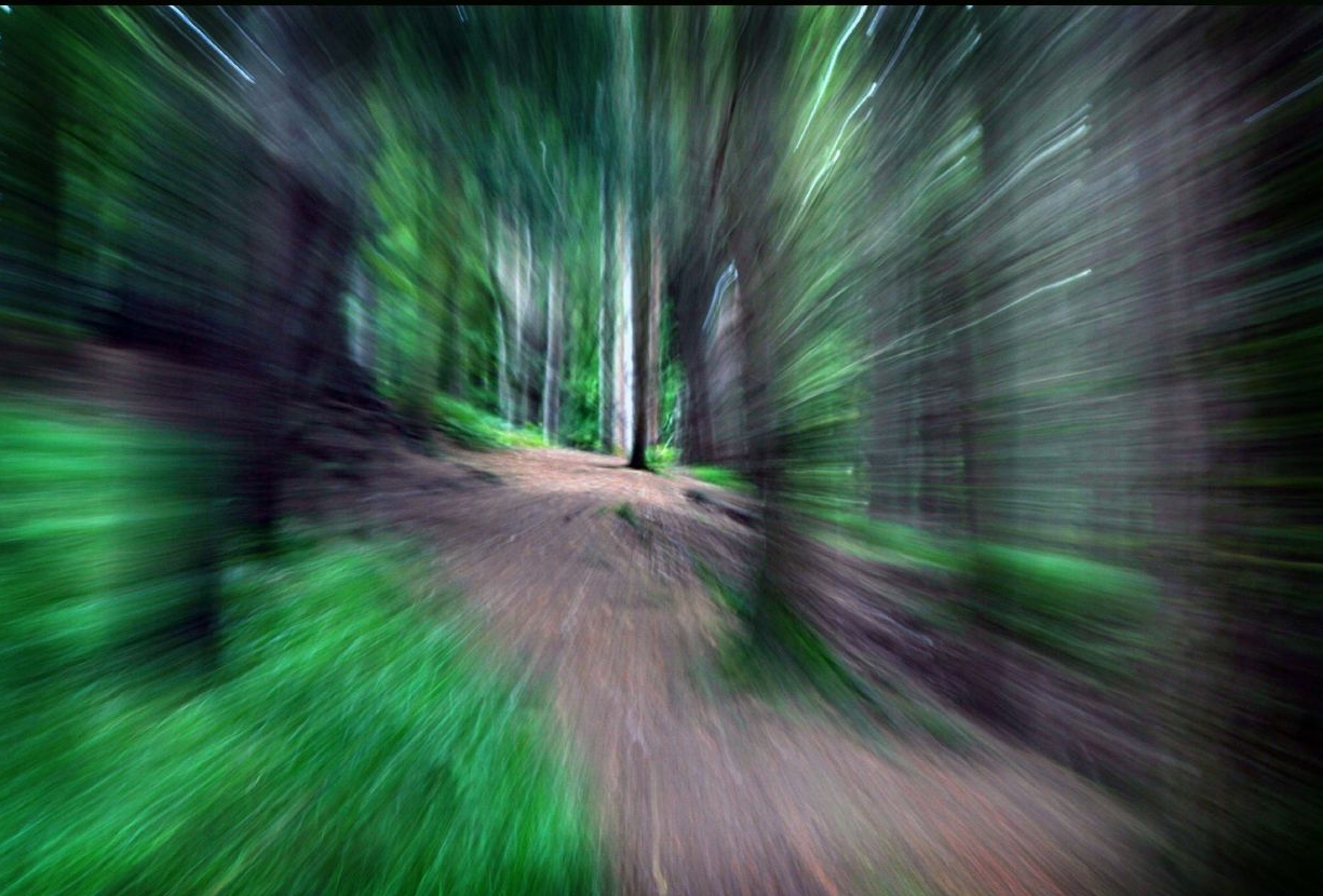 1643417346_8b8f5a1f02_o.jpg