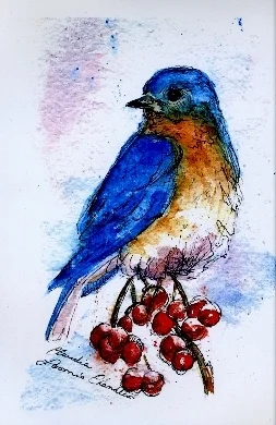 boy bluebird border (263x400).jpg