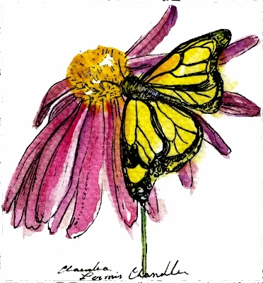 echinacea decal (372x400).jpg
