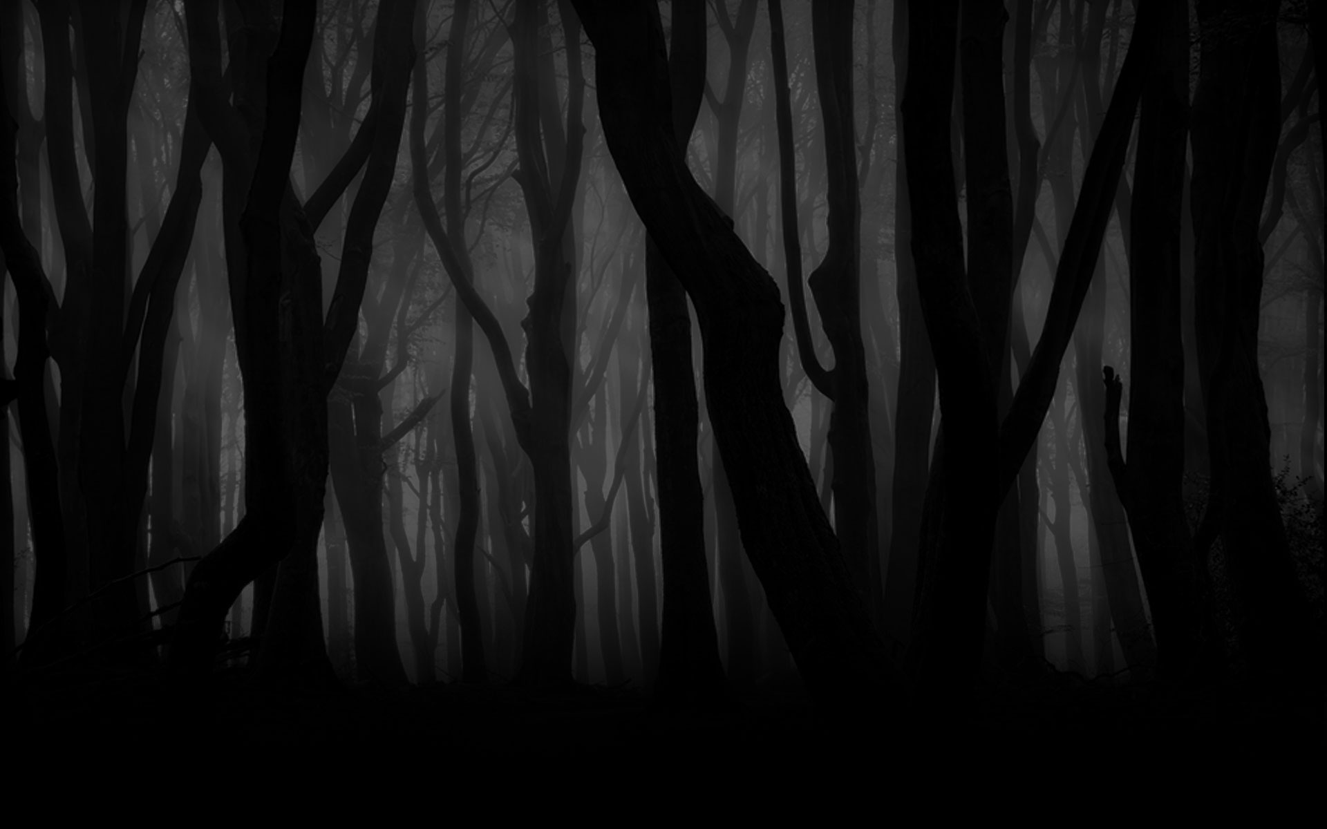 background.jpg