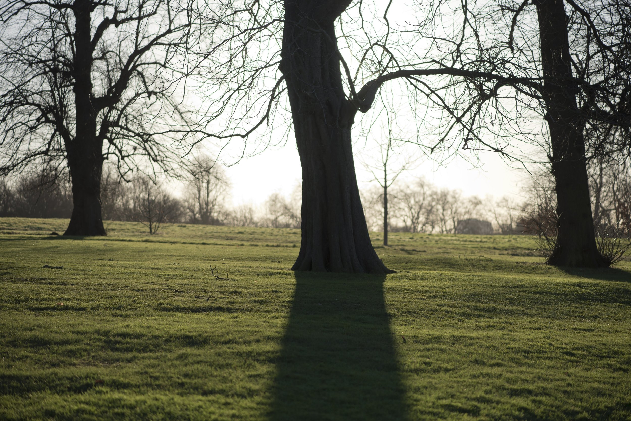 T01_3492.jpg