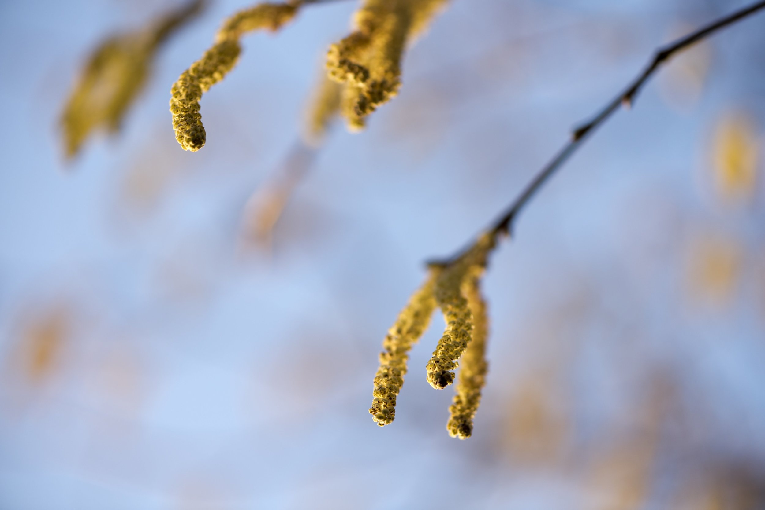 T01_3497.jpg