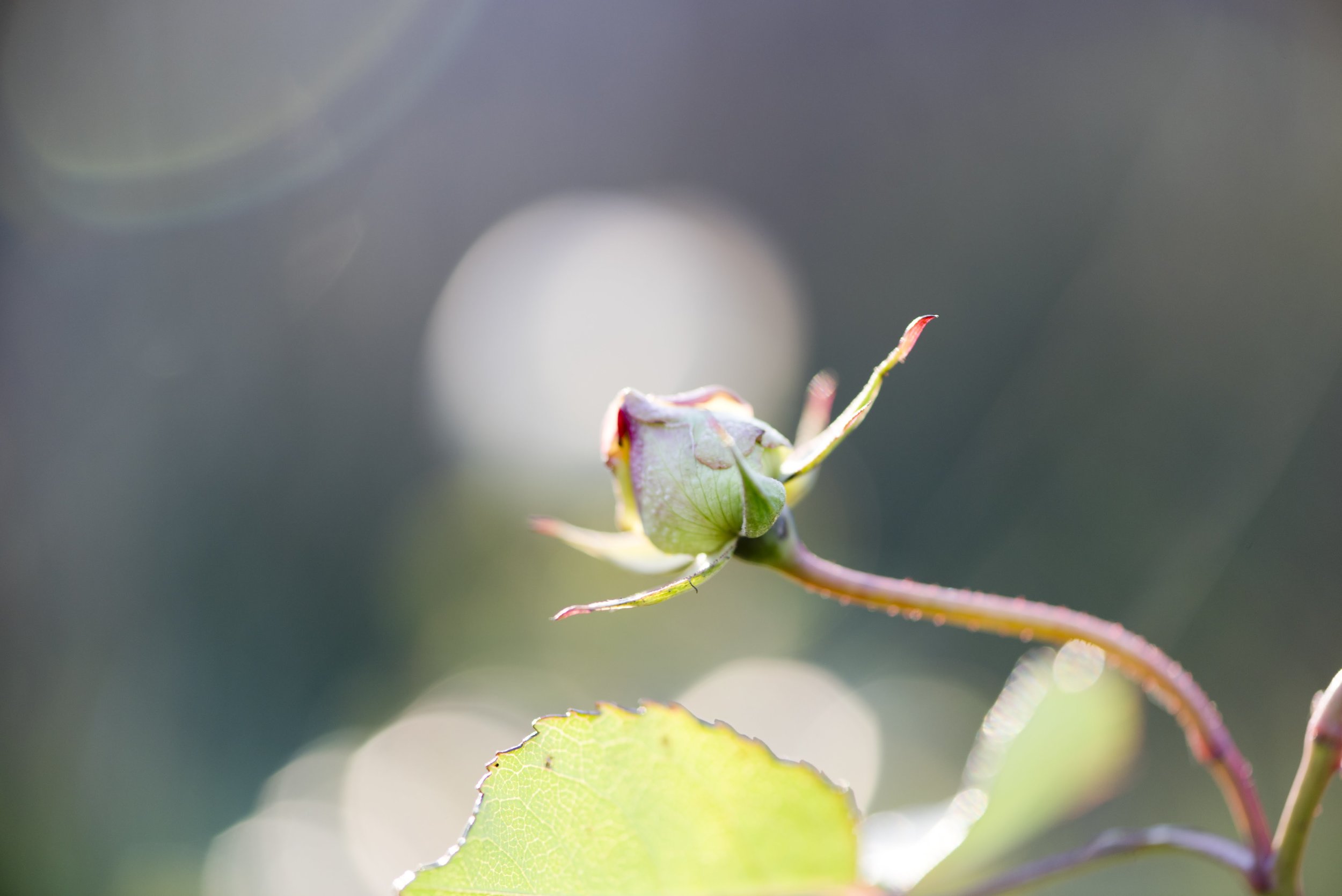T01_3538.jpg