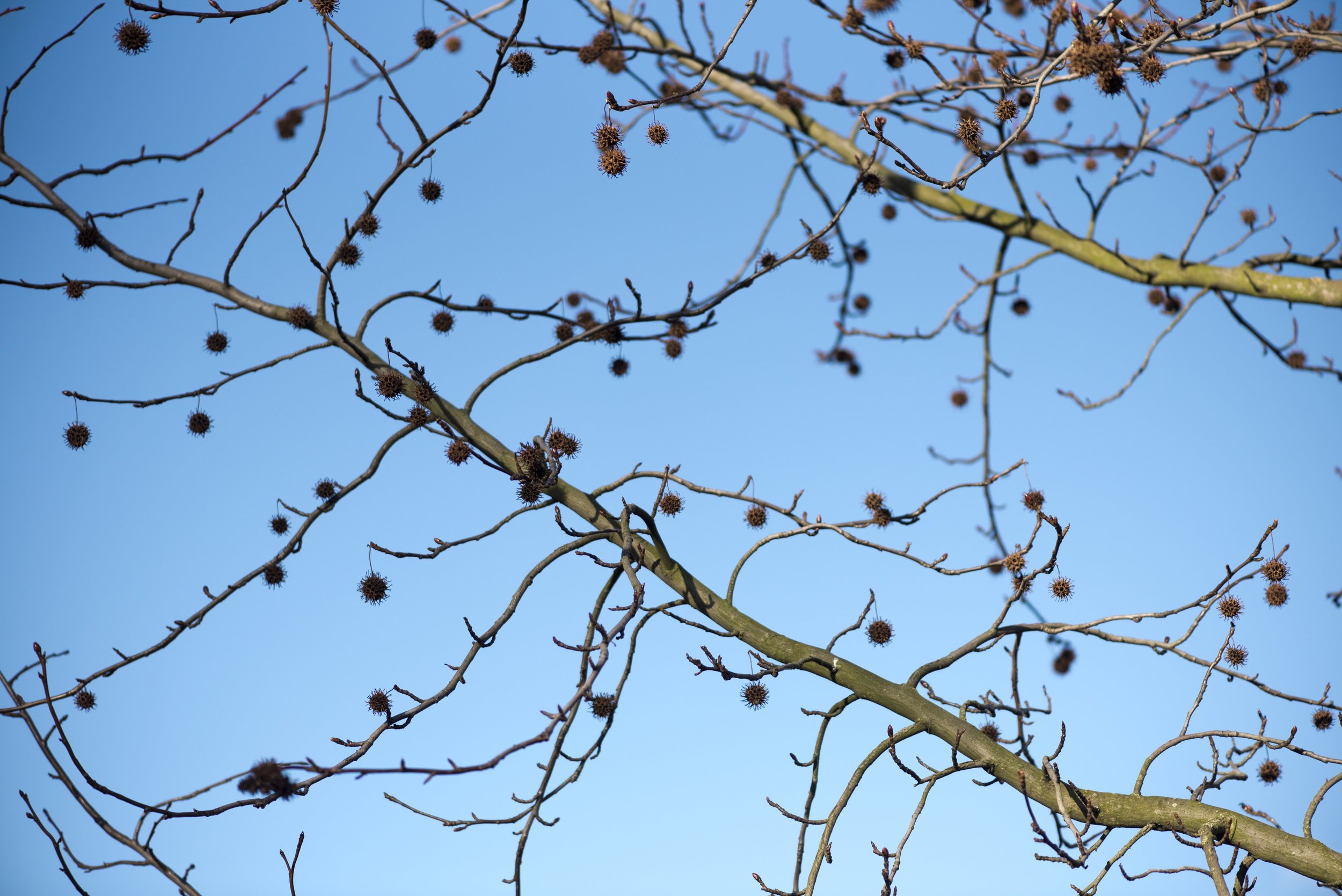 T01_3588.jpg