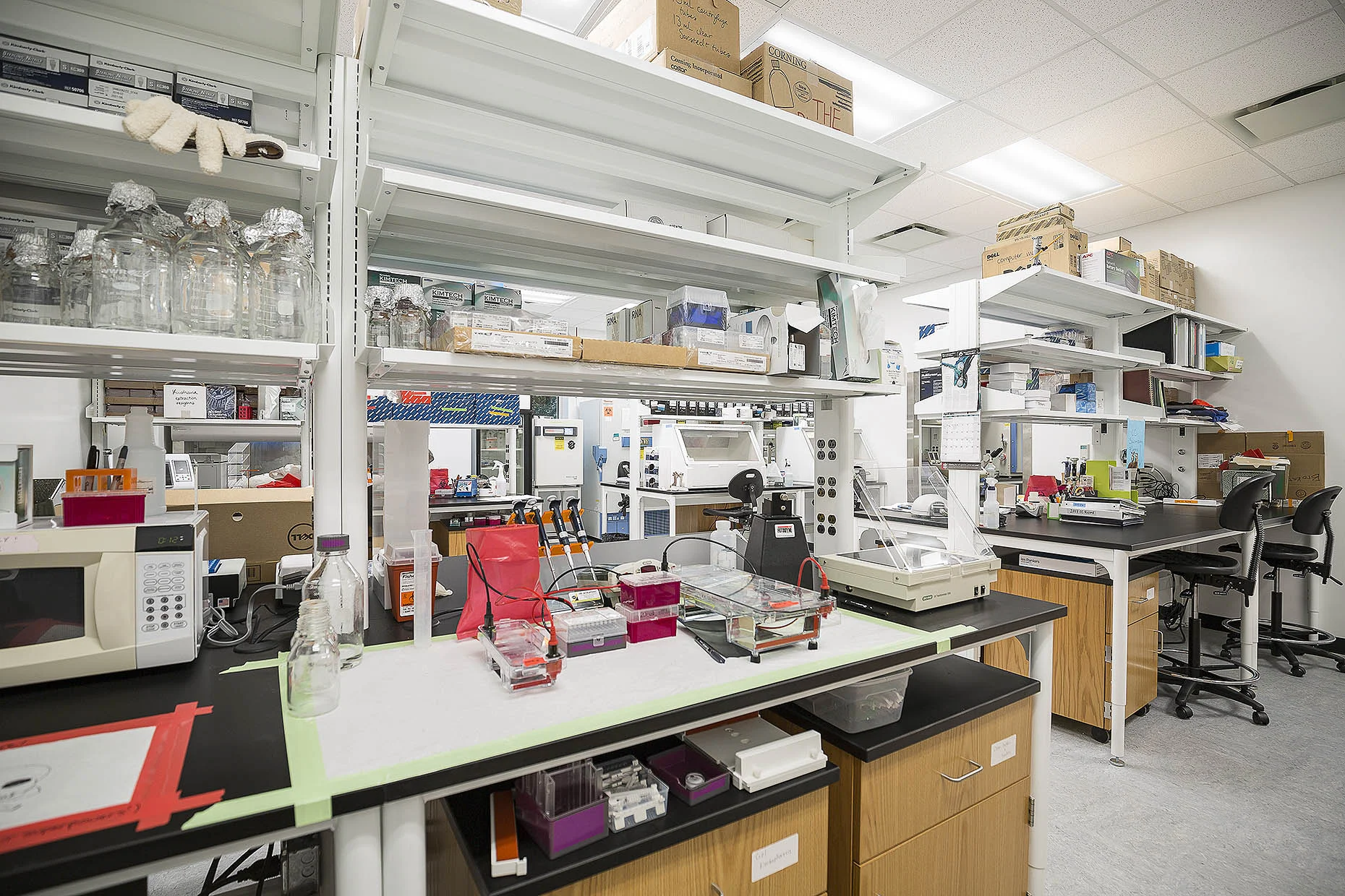 UGA_Lab_01_webuse.jpg
