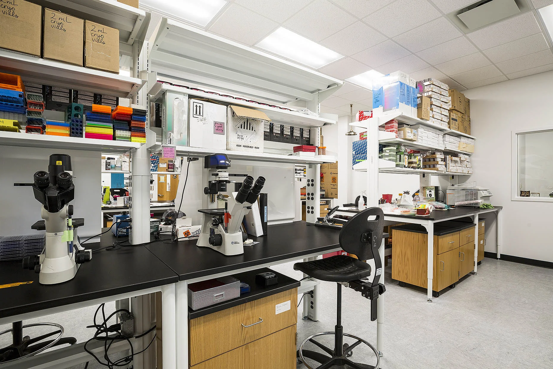UGA_Lab_02_webuse.jpg