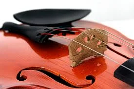 Cello: History, Fun Facts, and Benefits of Learning