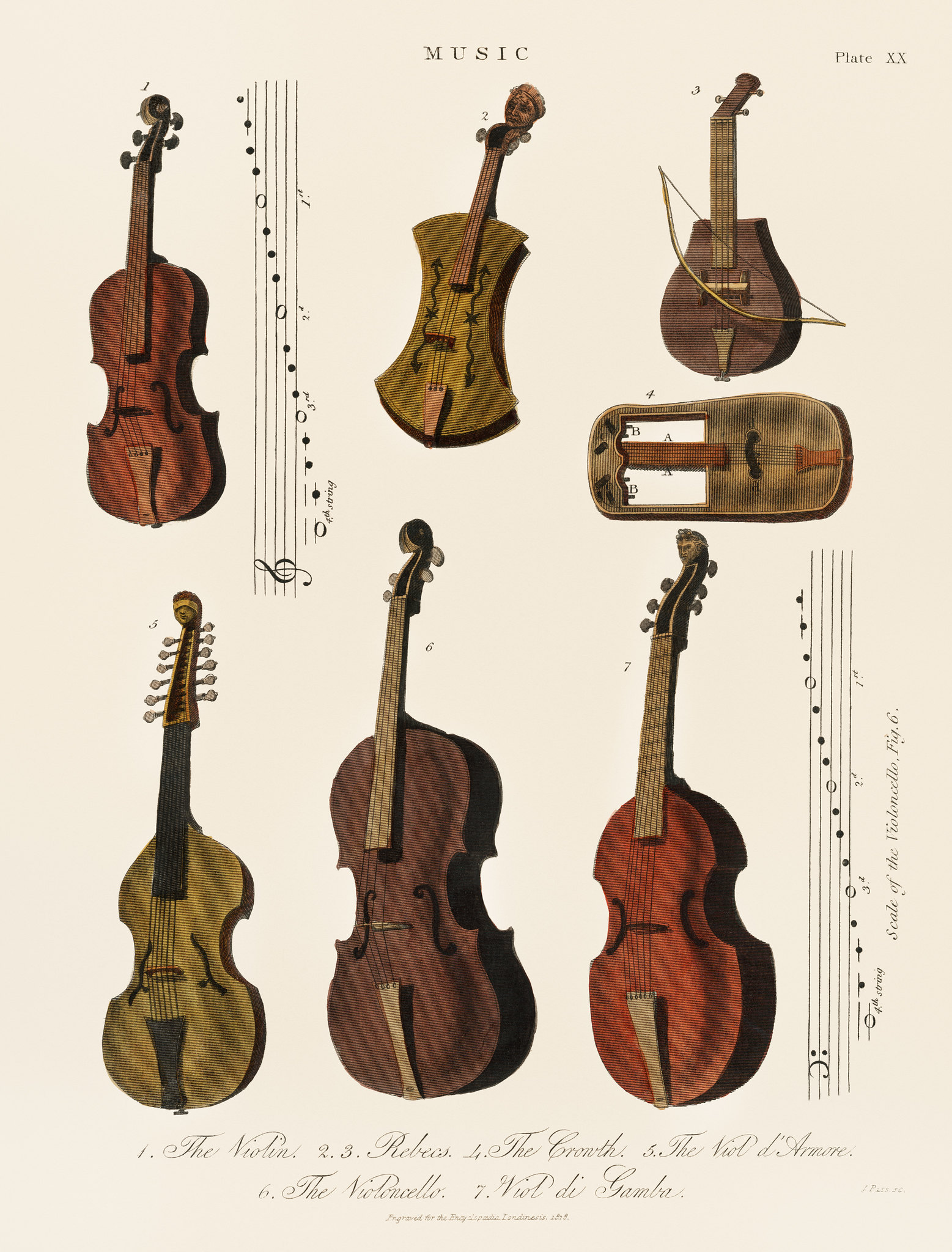 Violin: History & Fun Facts — Stage Music Center In Acton and Winchester MA