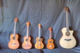 Children of any age can quickly learn to play the ukulele.