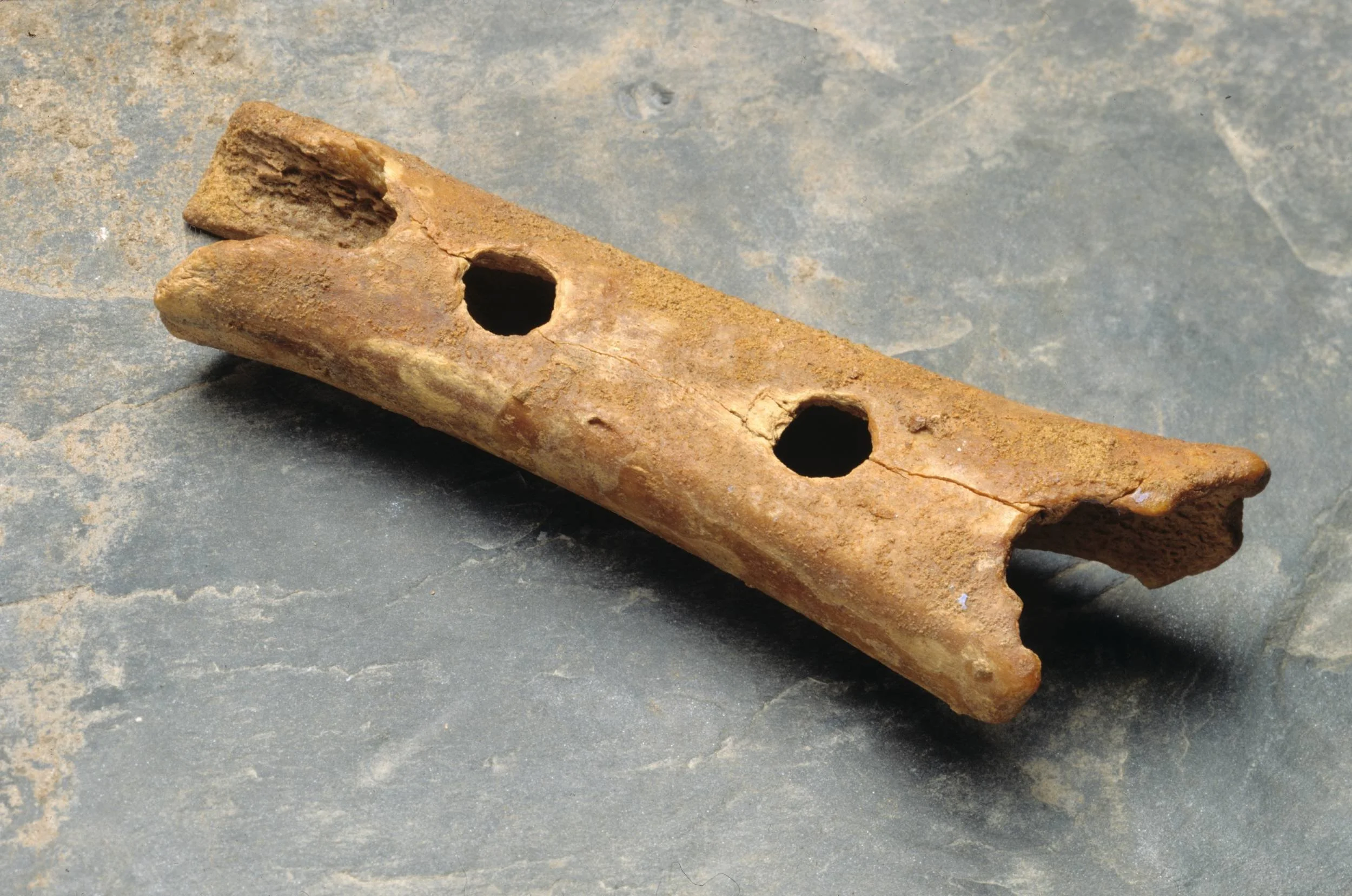 The Oldest Musical Instrument in Use to This Day (Flute - Fun Facts)