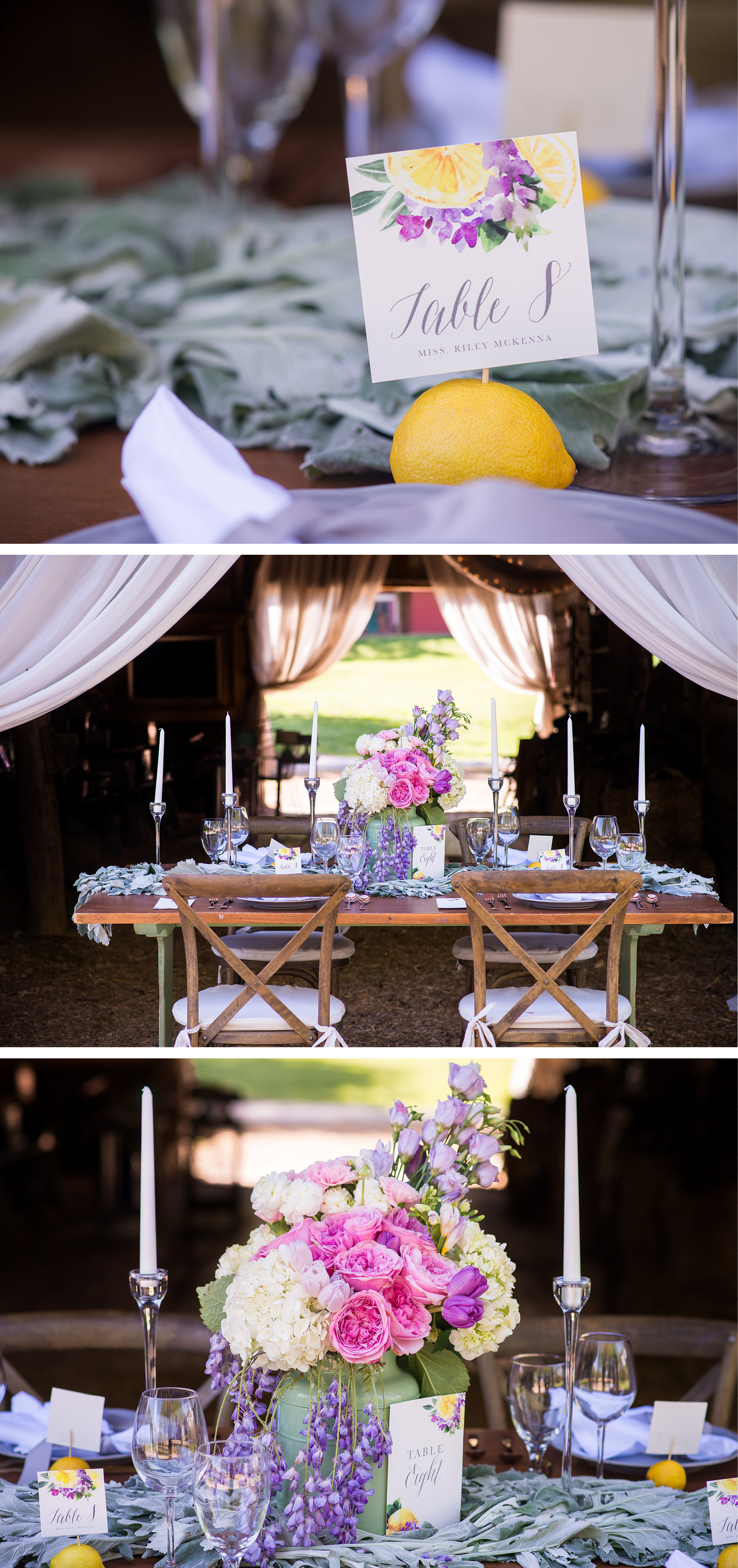 Charlotte-Wedding-Stationer-Lemon-and-Lavender-Styled-Shoot-Magnificent-Moments-Cami-Ann4.jpg