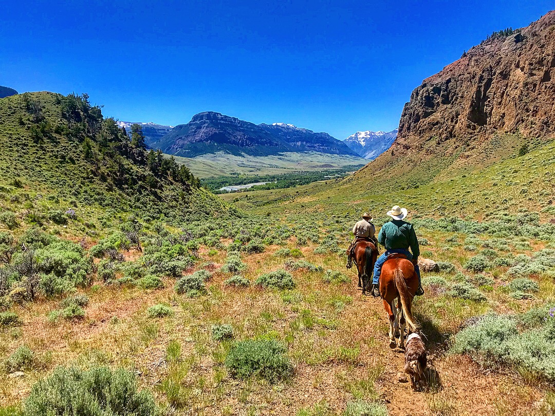  Summer 2018 - View of the South Fork valley of the Shoshone River near Cody, Wyoming with collaborating ranchers in the foreground. I spent the summer of 2018 meeting with ranchers, wildlife managers, and other collaborators to make sure everyone wa