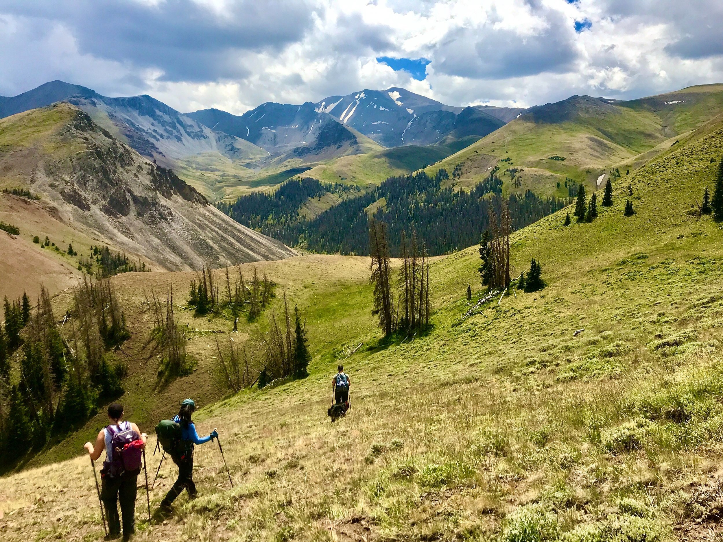  Summer 2020 - View of Guada, Stephi (&amp; Ollie), and April hiking to investigate wolf GPS clusters near Francs Peak, the tallest mountain in the Absaroka Range. This is also a place where cattle have been grazing for 100+ years, grizzly bears feed