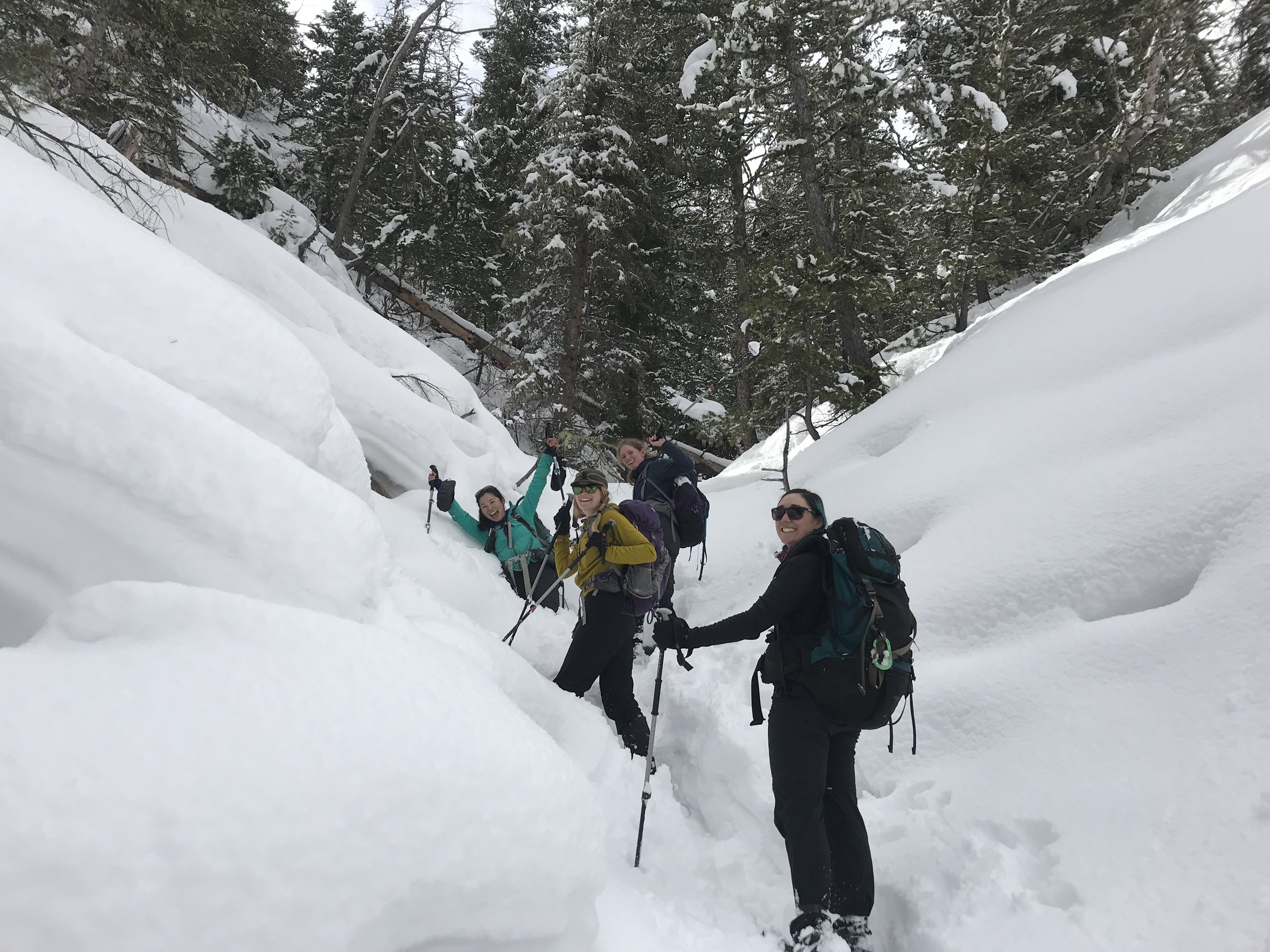  Winter 2020 - Field crew (Danielle, Emily, Stephi &amp; Hannah) happily postholing our way up Mesa Creek on the North Fork of the Shoshone to check wolf GPS points. 