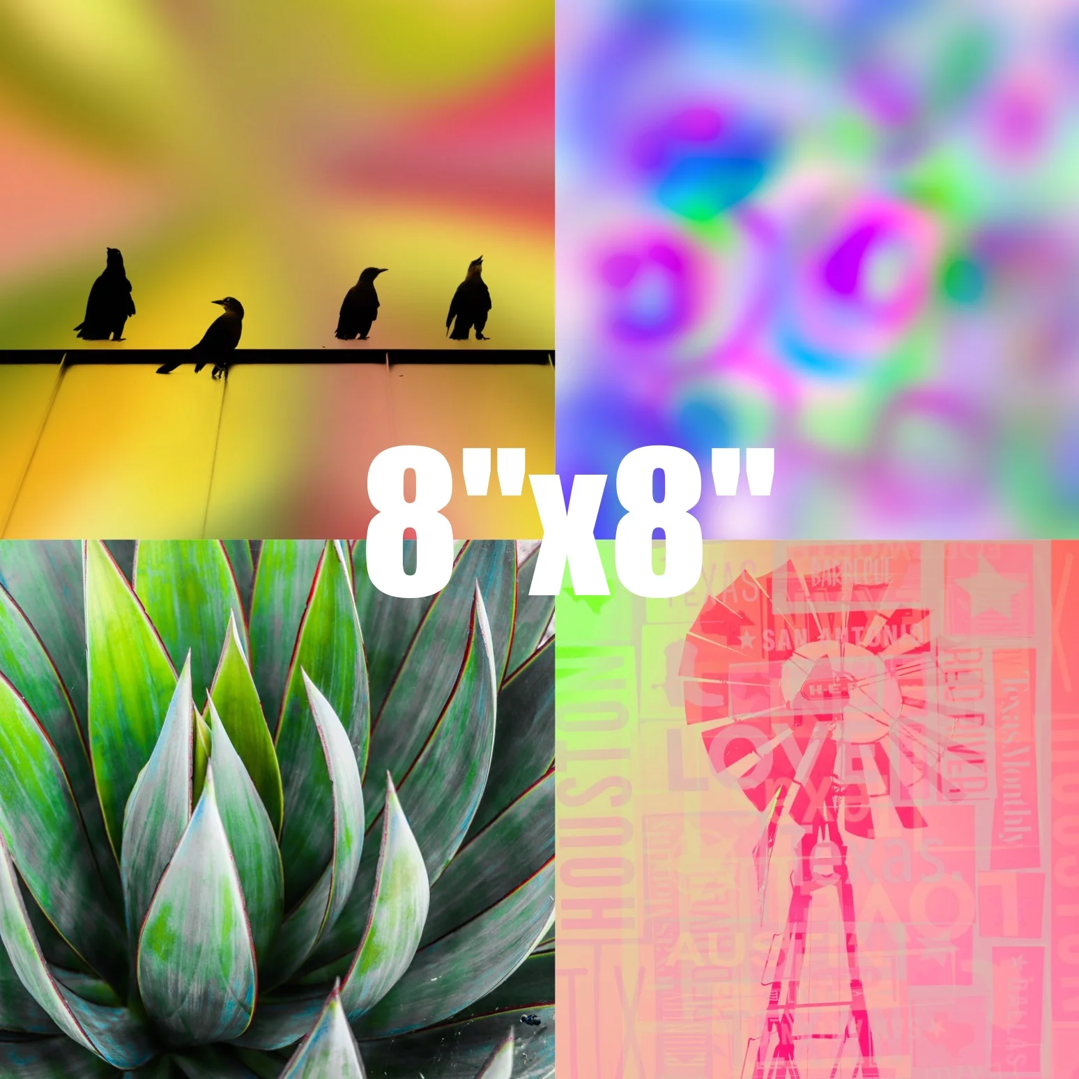 8x8_shop.jpg