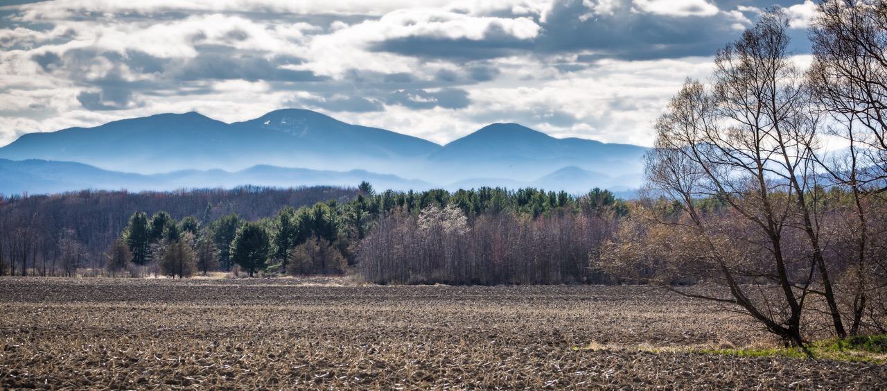 Shelburne-pasture.jpeg