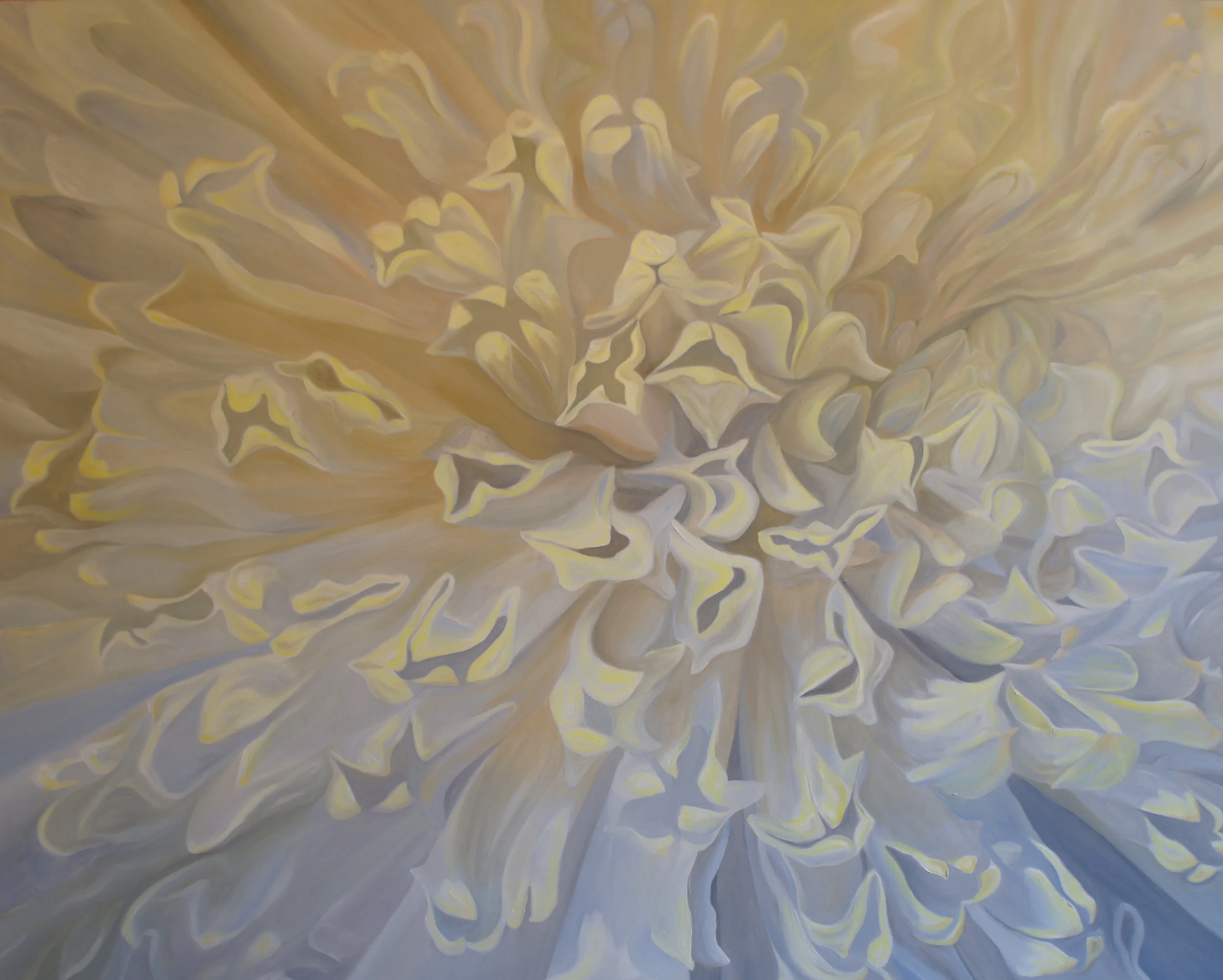 Bayberry Shah, Confetti Cloud, 2014, oil on canvas, 48' x 60'