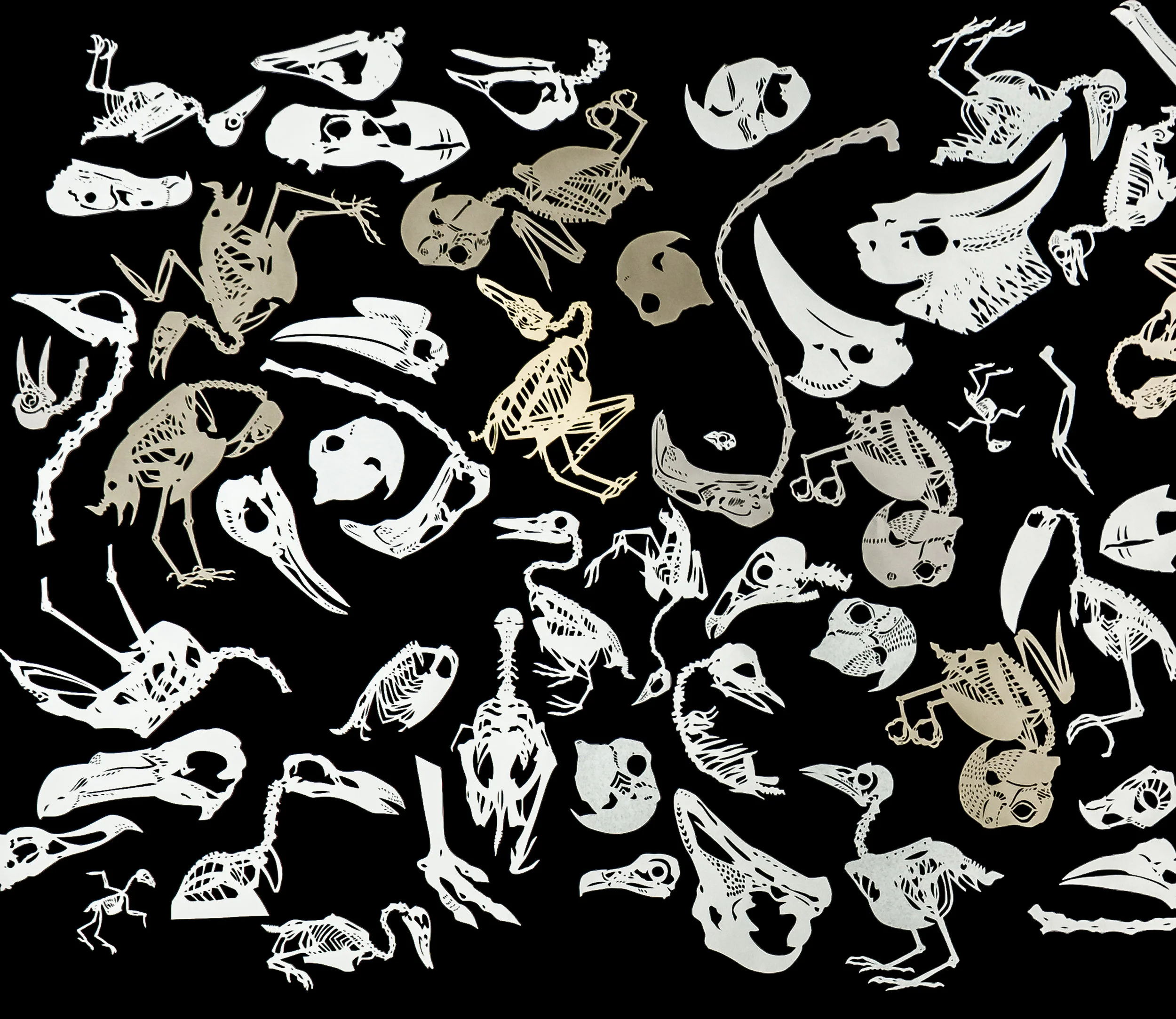05 Ingrid Erickson Osteology Series detail.jpg