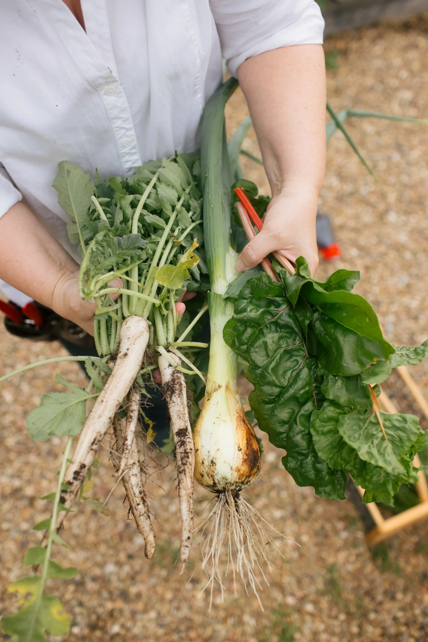 Gourmet Garden-14.jpg