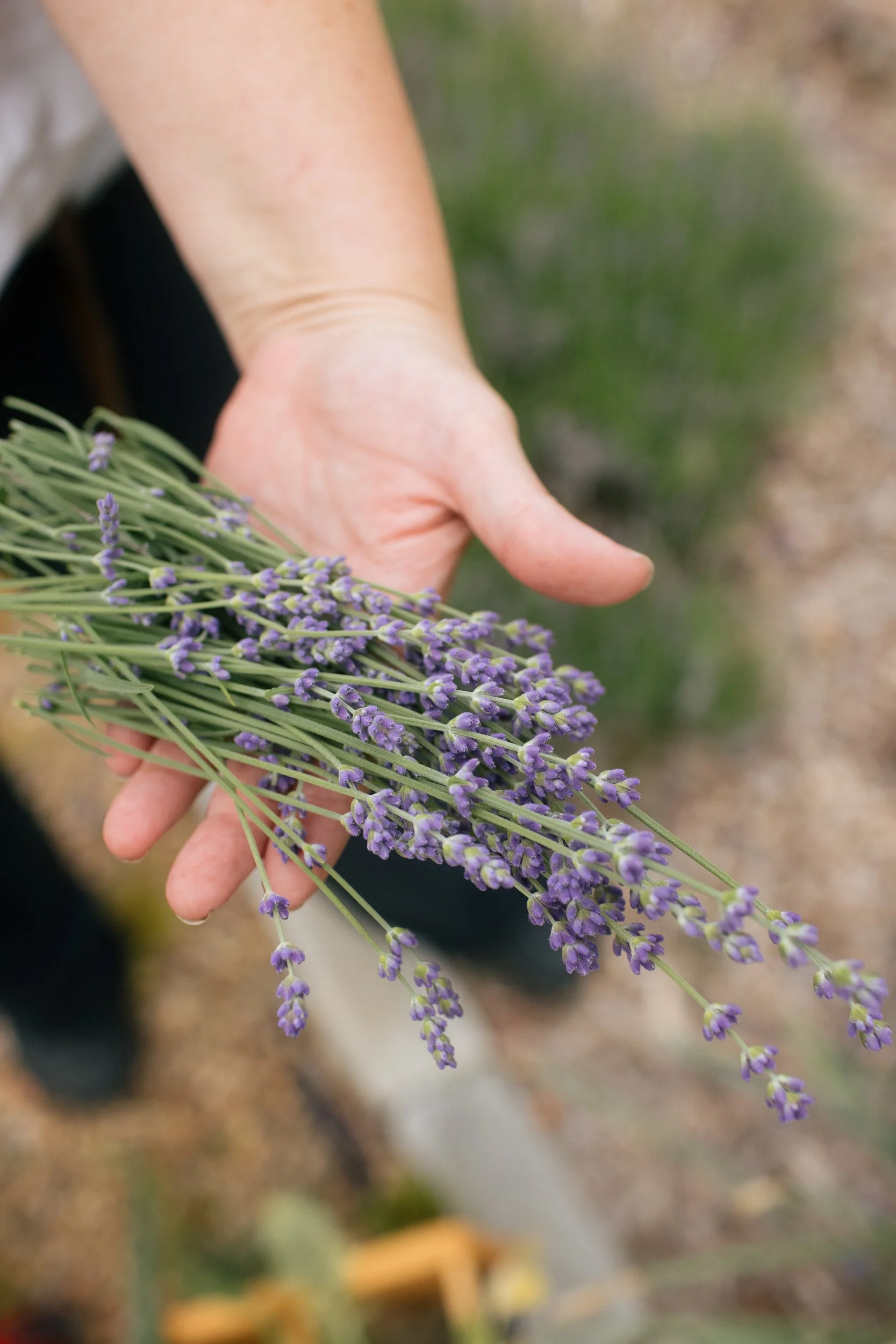 Gourmet Garden-16.jpg