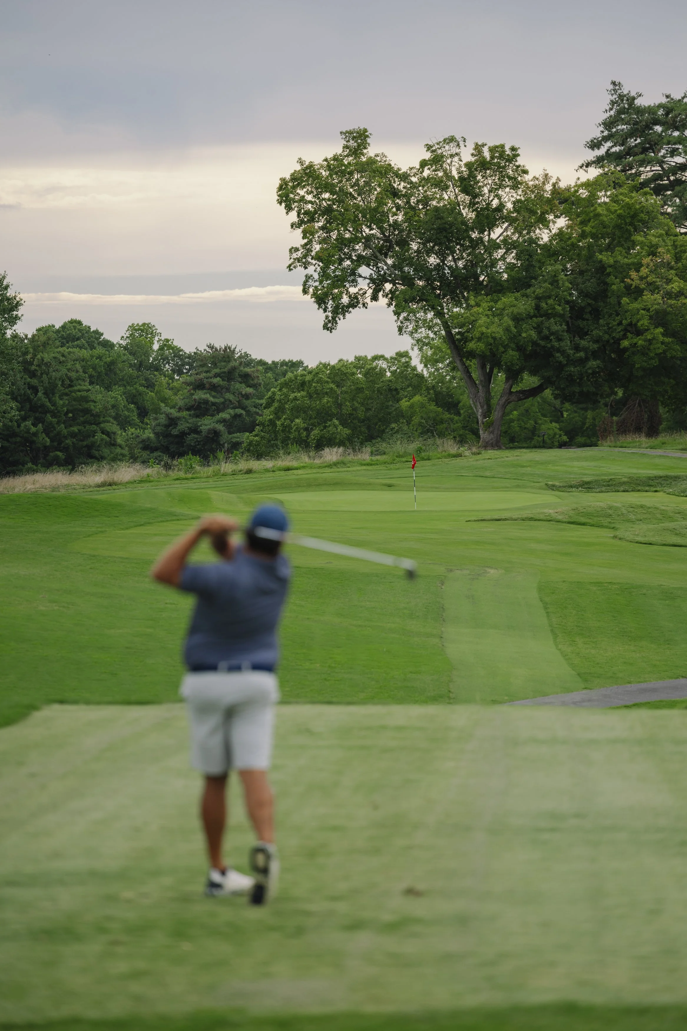 Turtleson JCCC-3.jpg