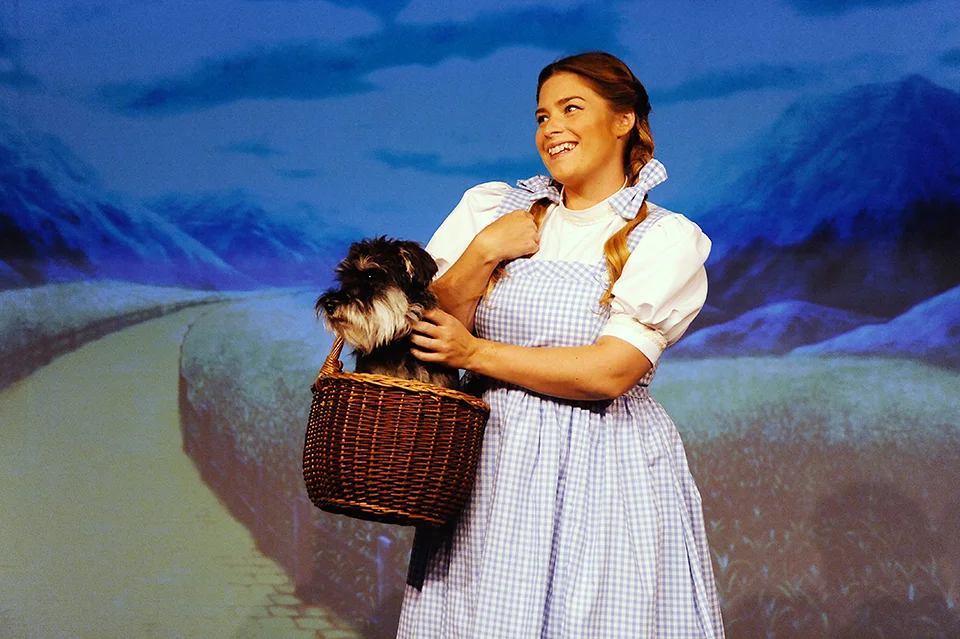 I don't think we're in Kansas anymore! (Copy)