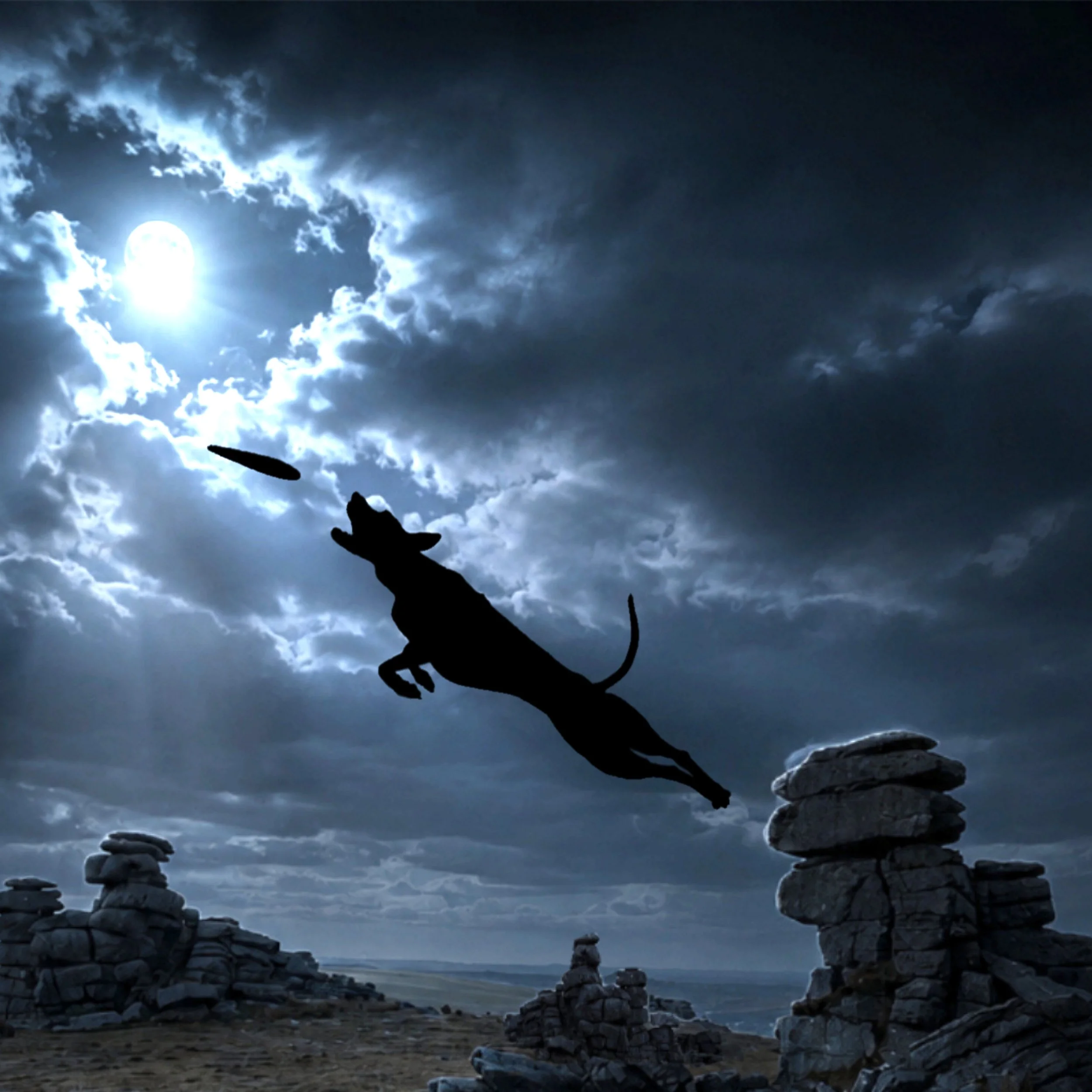 The Hound of the Baskervilles