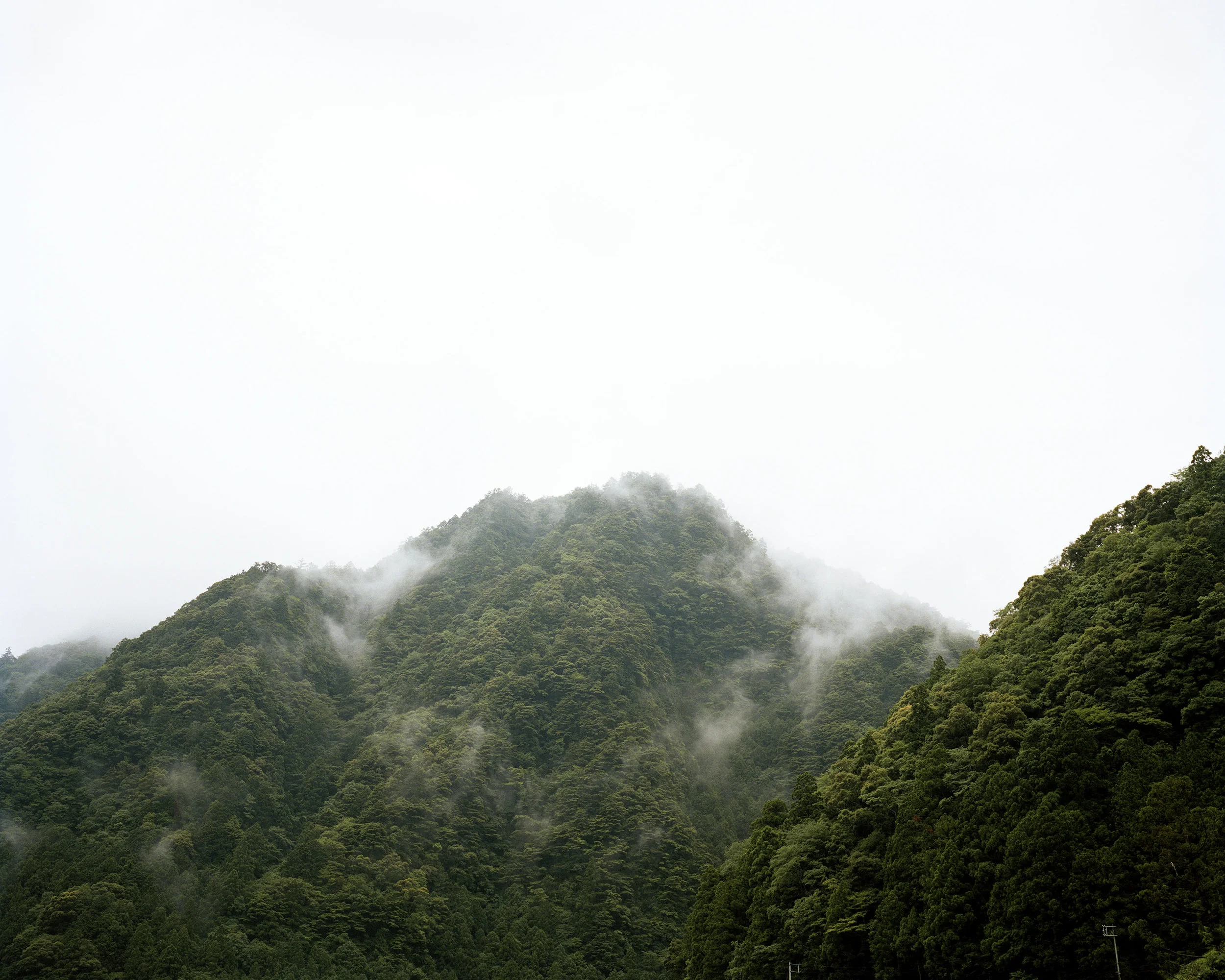 Kumano_Kodo_Mariluz_Vidal_03.jpg