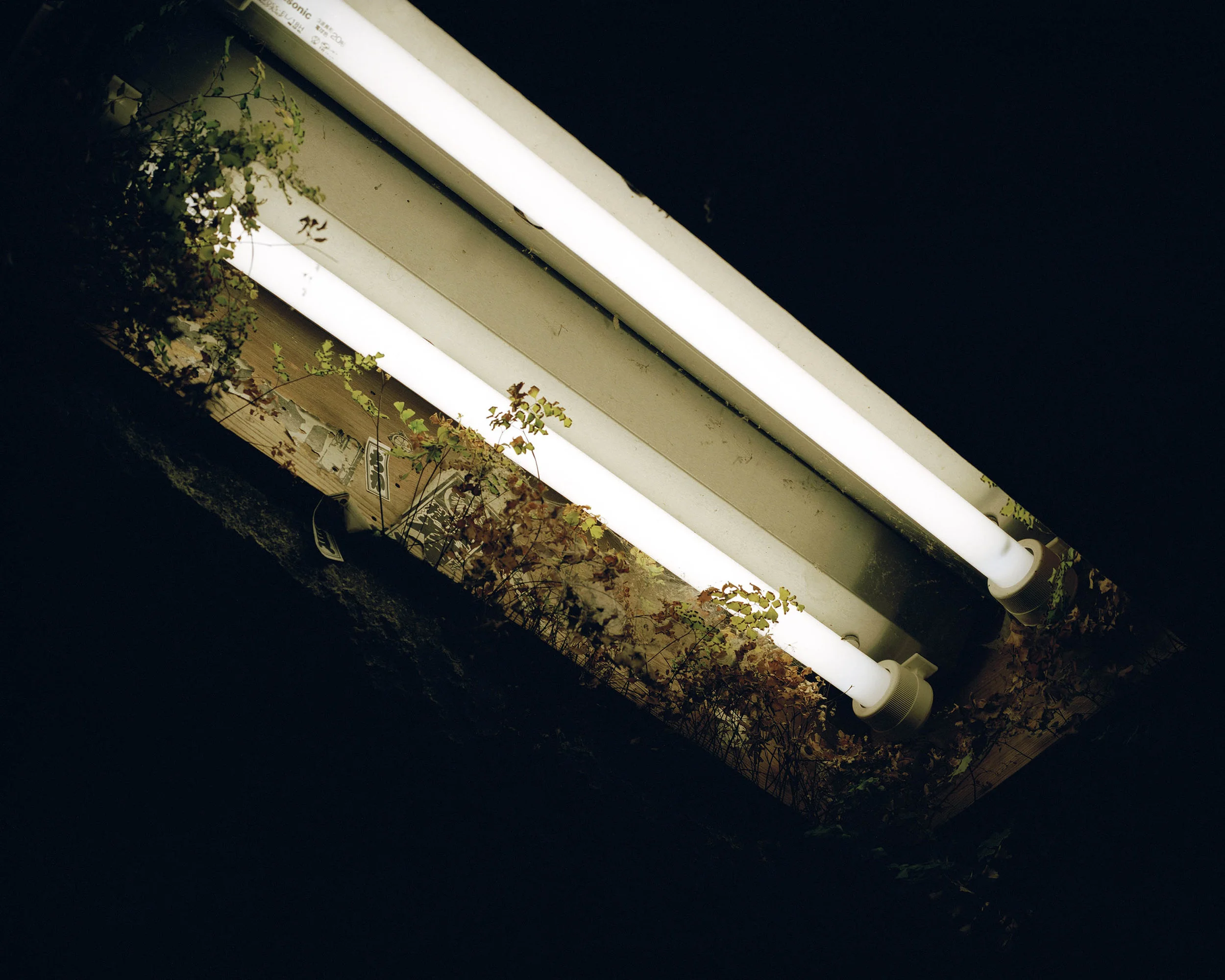 Kumano_Kodo_Mariluz_Vidal_11.jpg
