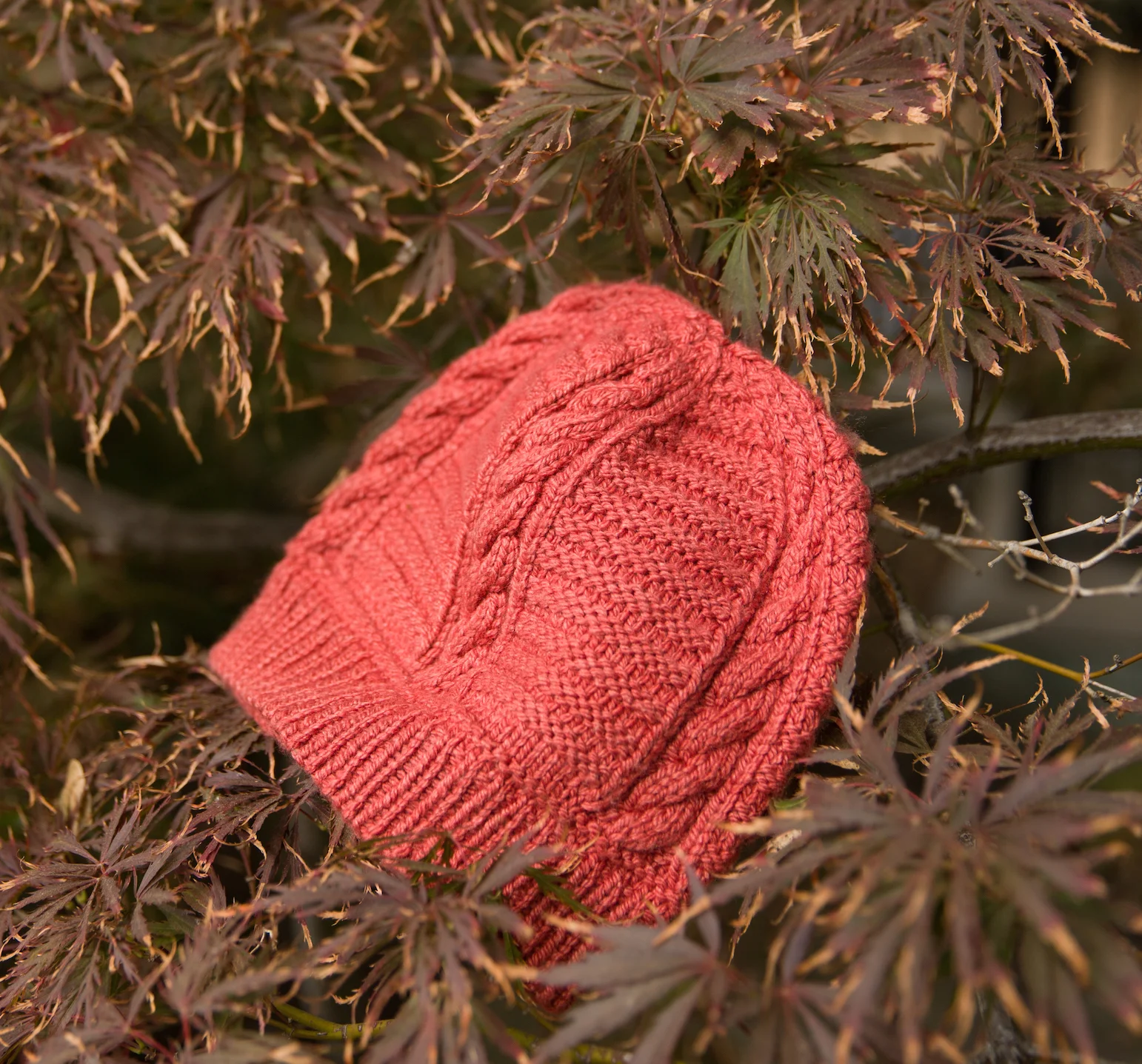 Kingston Beanie