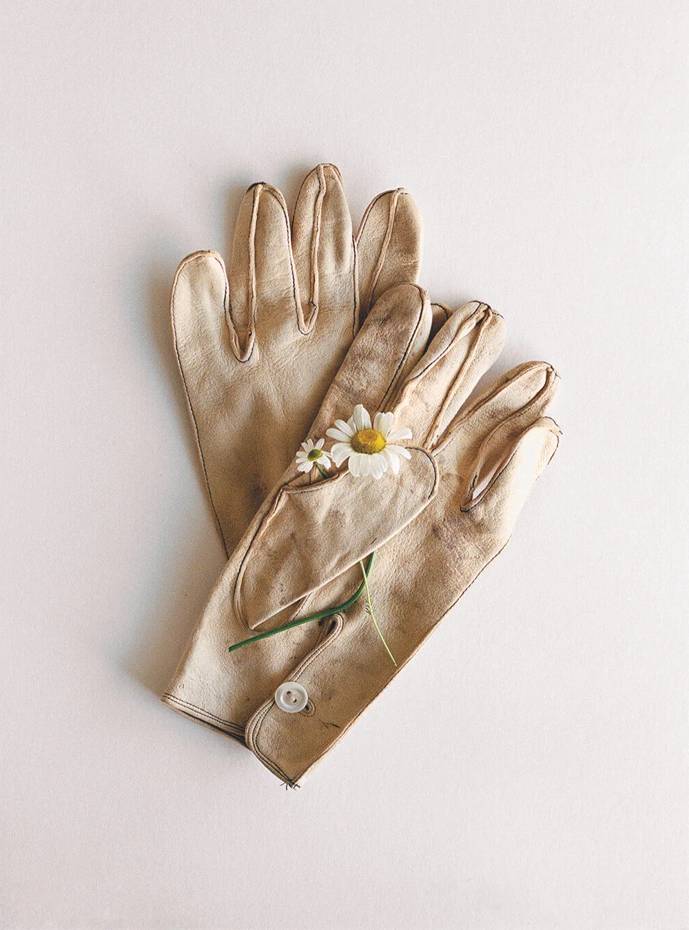 GLOVES.jpg