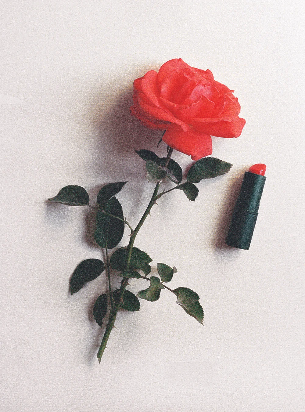 ROSE.jpg