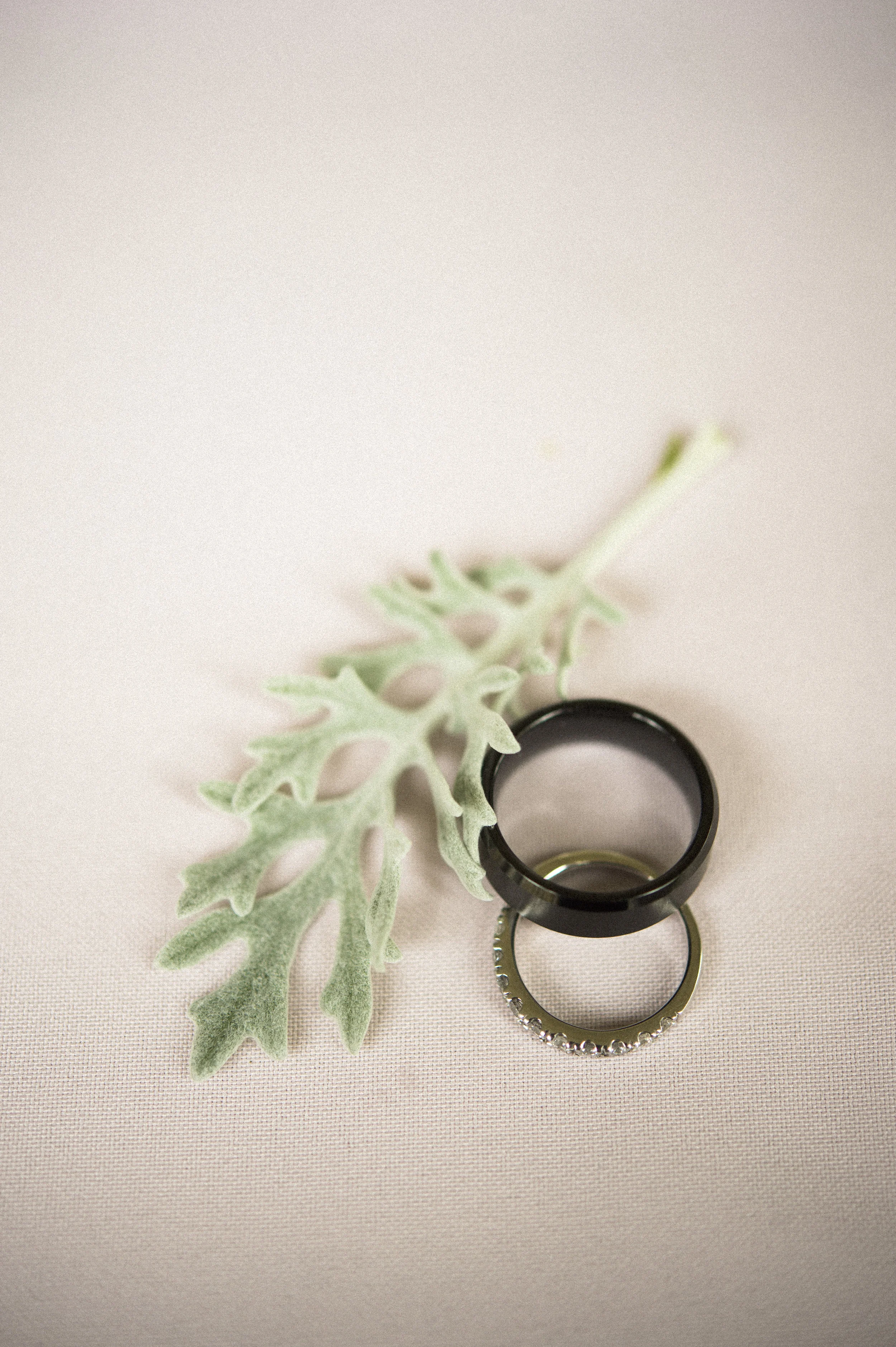 Dustin and Ashley : Chautauqua Institution wedding