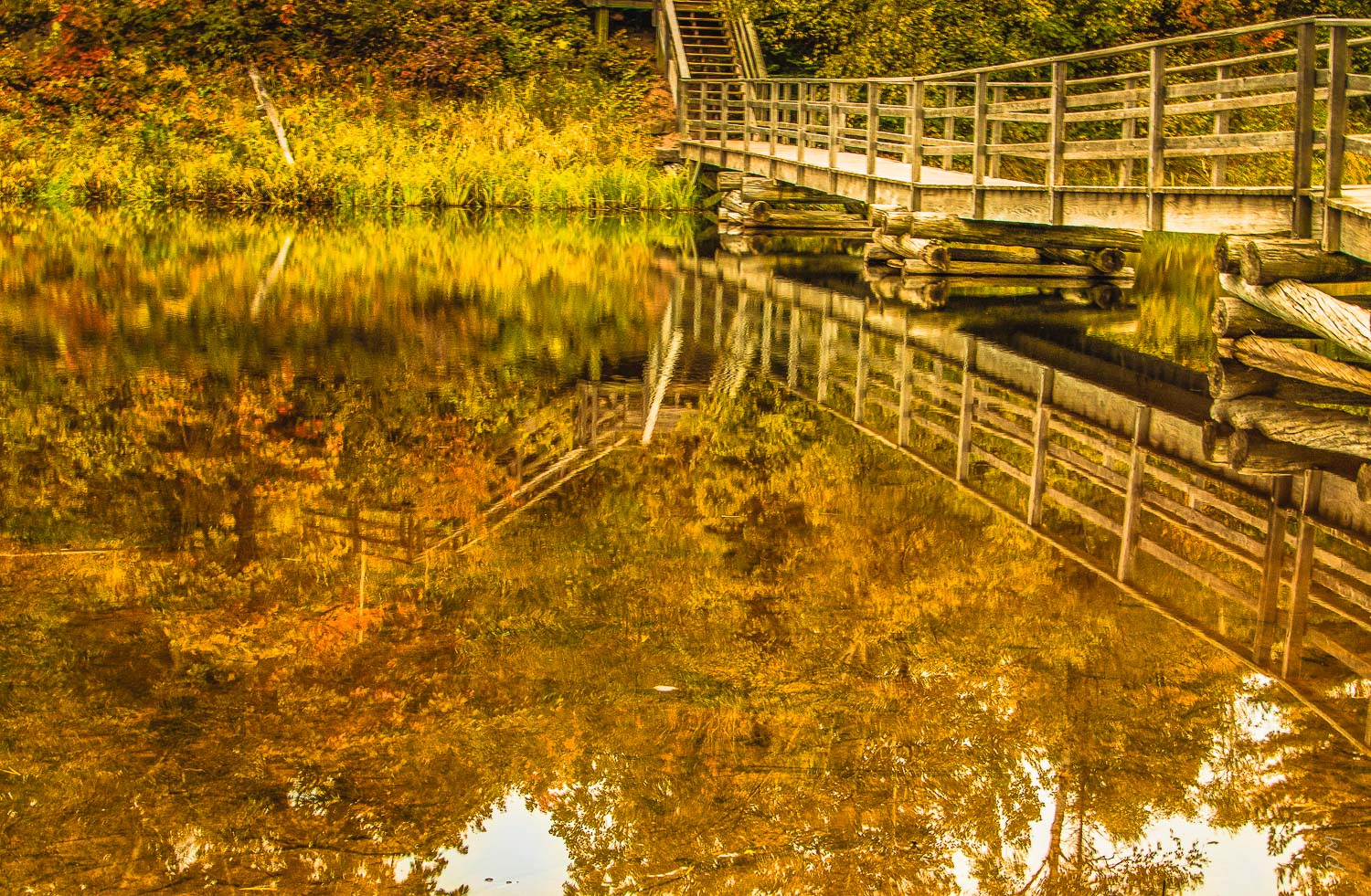 bridge_to_the _island