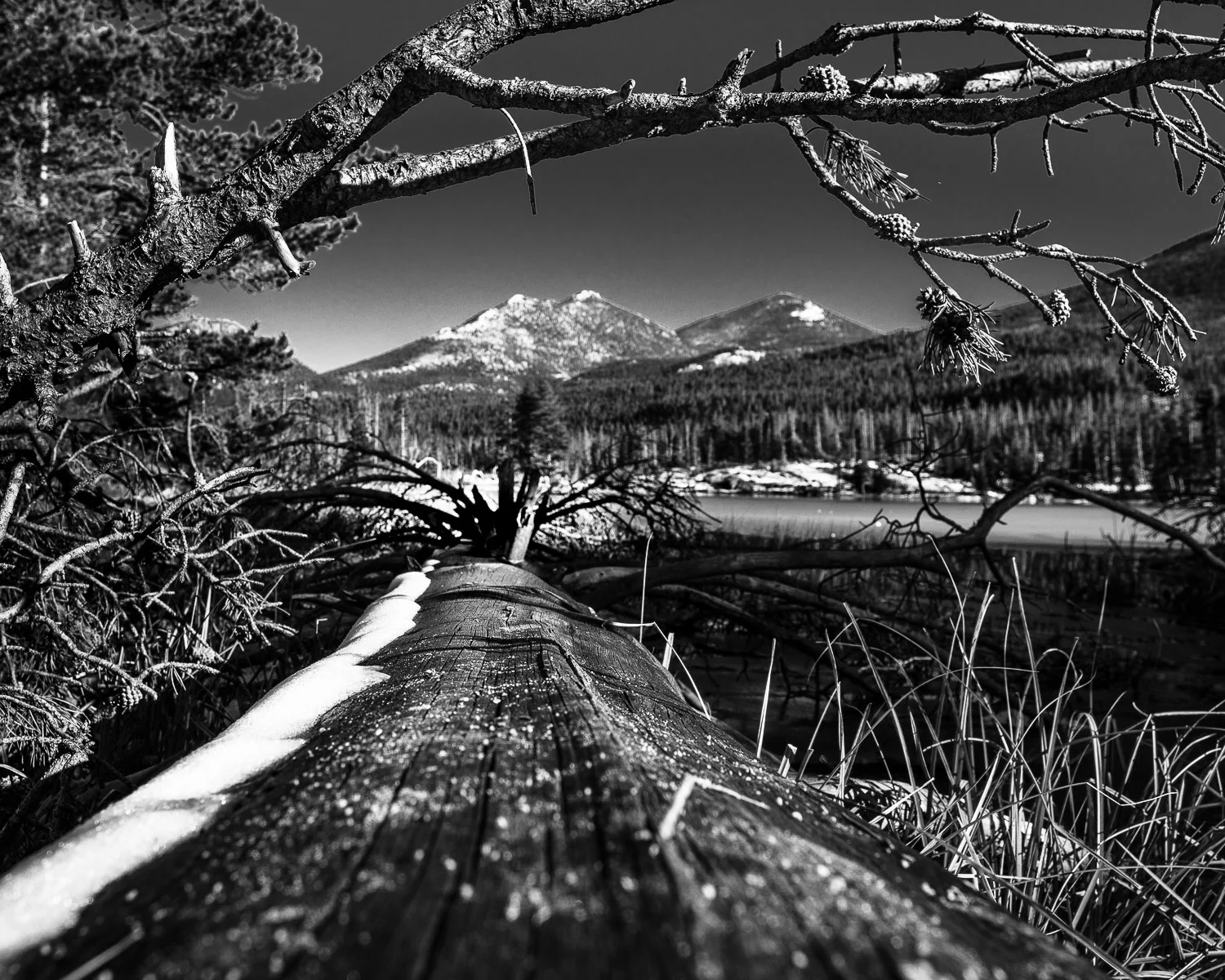 sprague_lake
