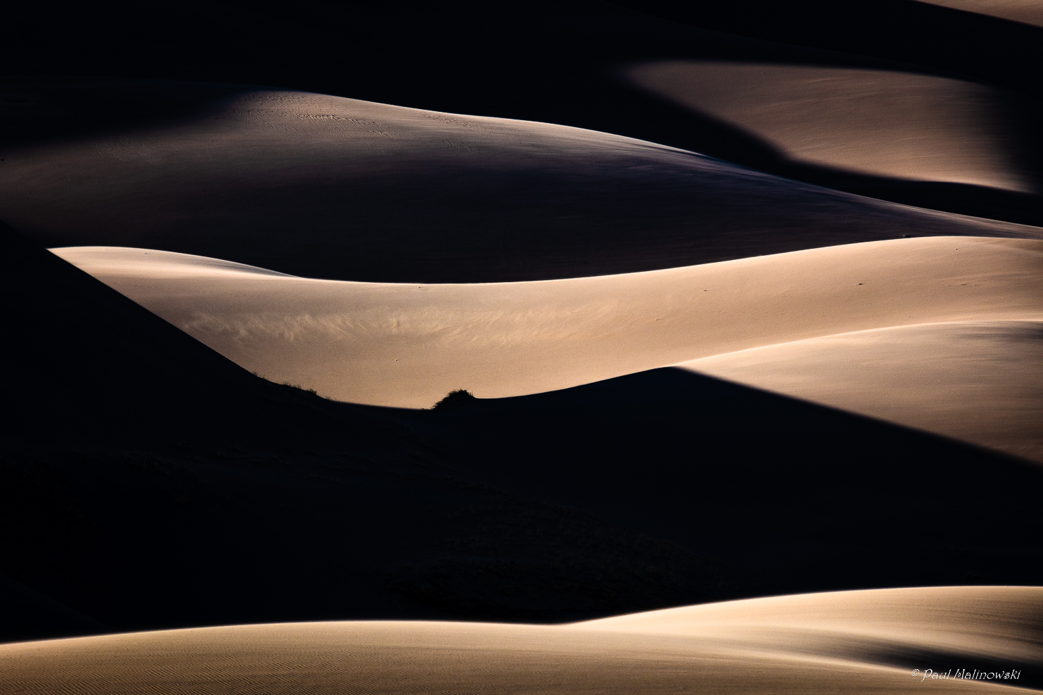 dunes shadows