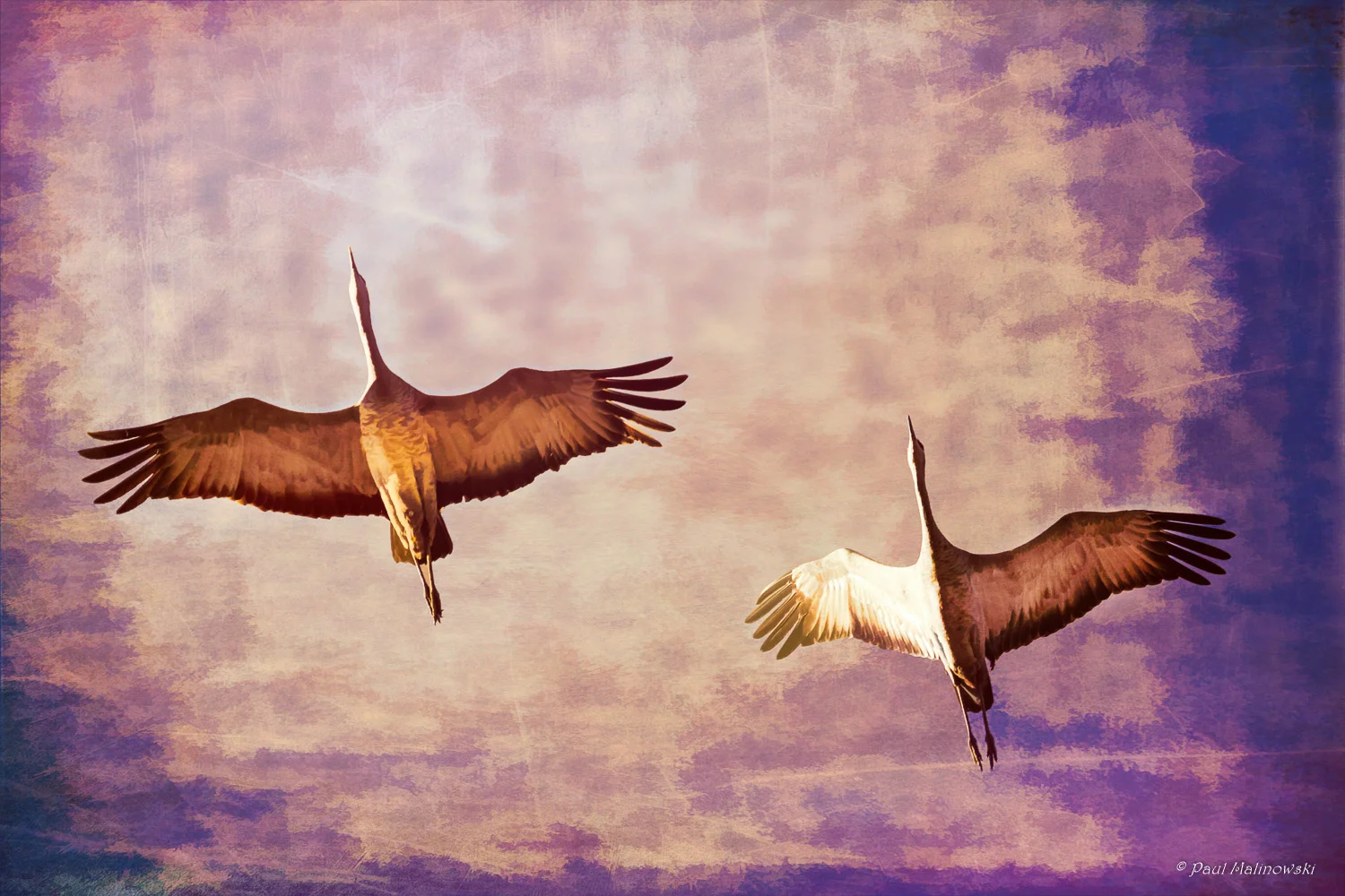 painted cranes