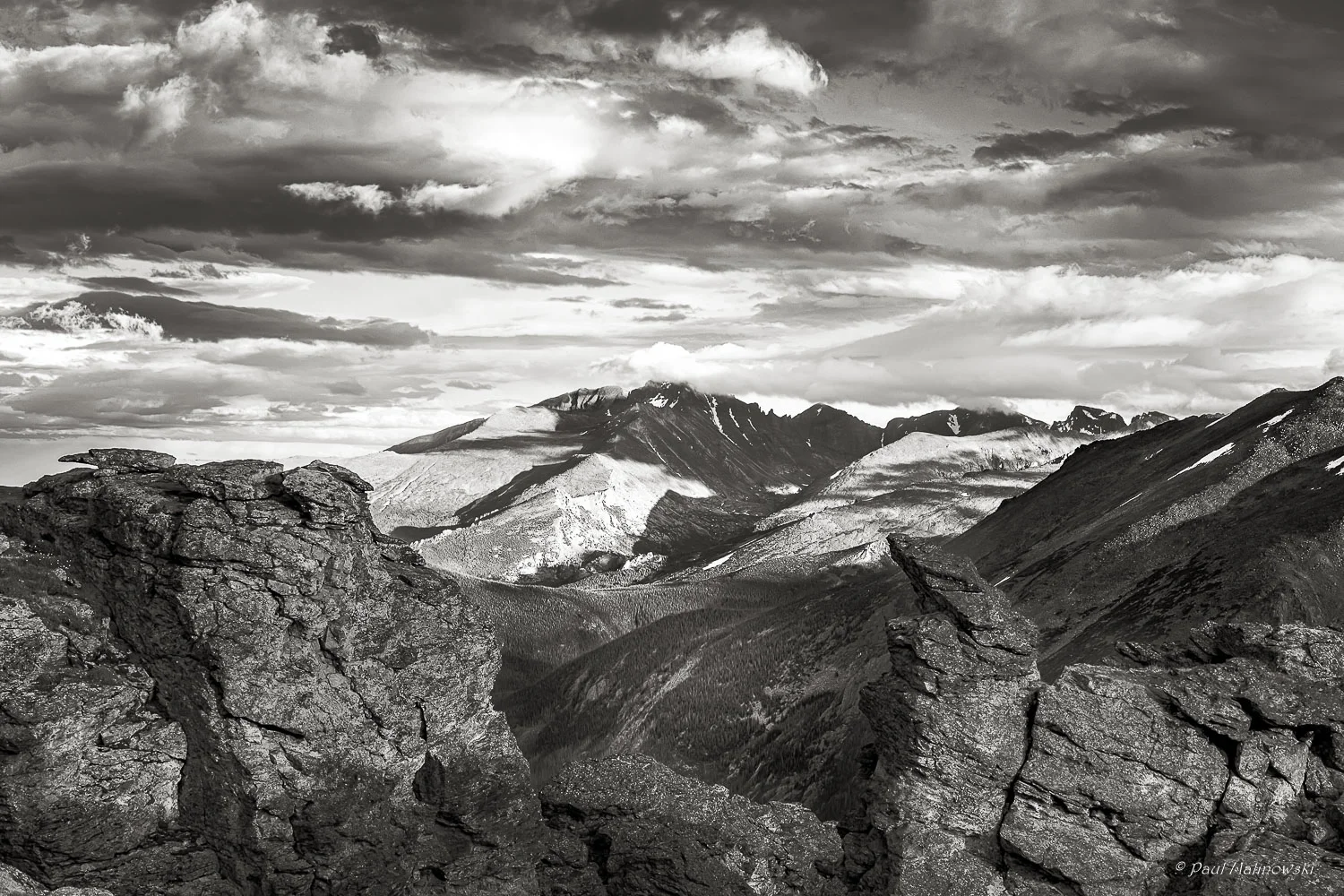 MW (2 of 3).jpg