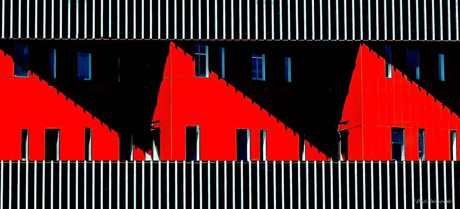 Living in the Shadows.jpg