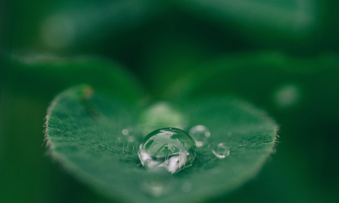 True Money Alignment (S2EP8)