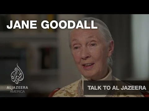 Jane Goodall - Talk to Al Jazeera