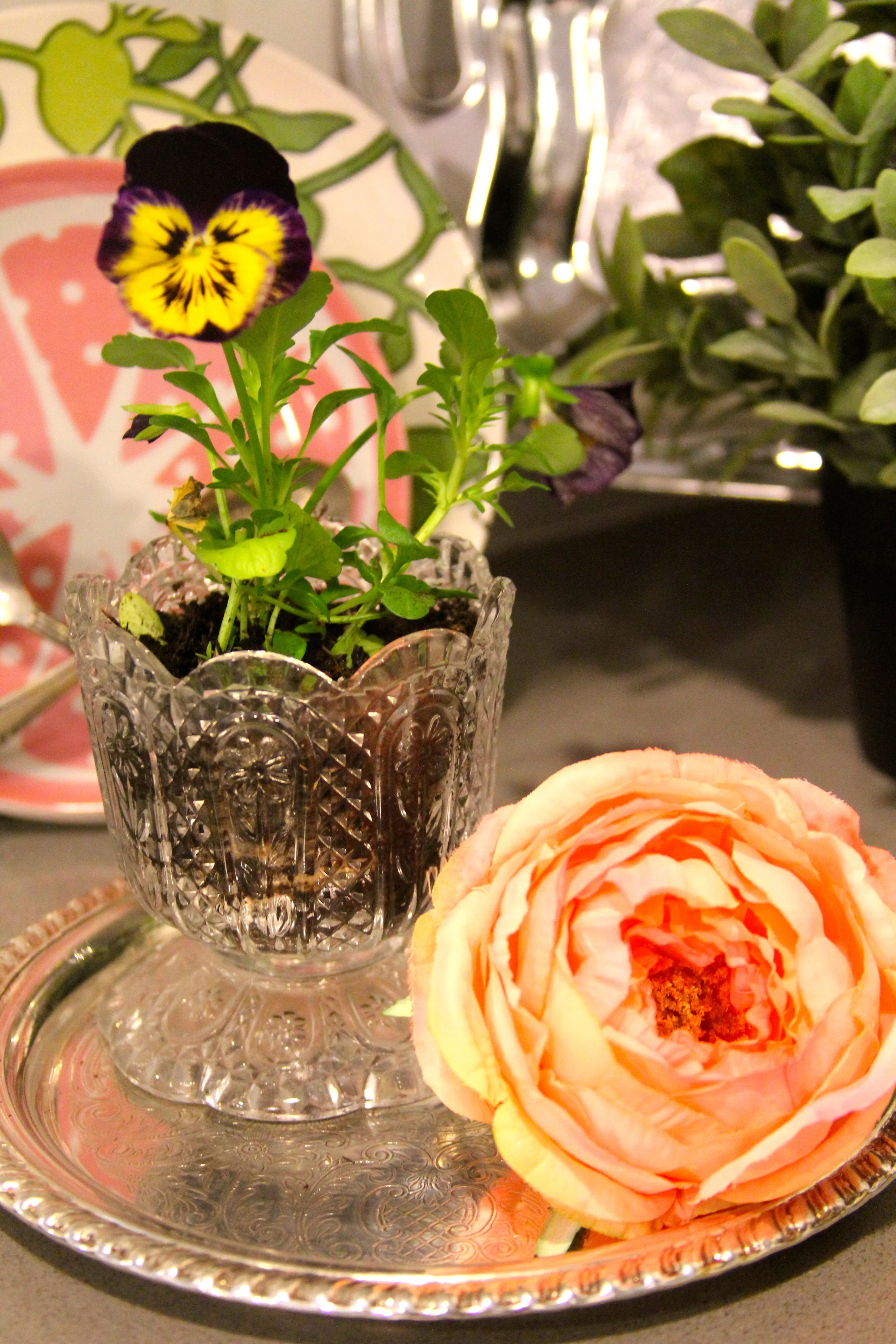 pretty little plantings