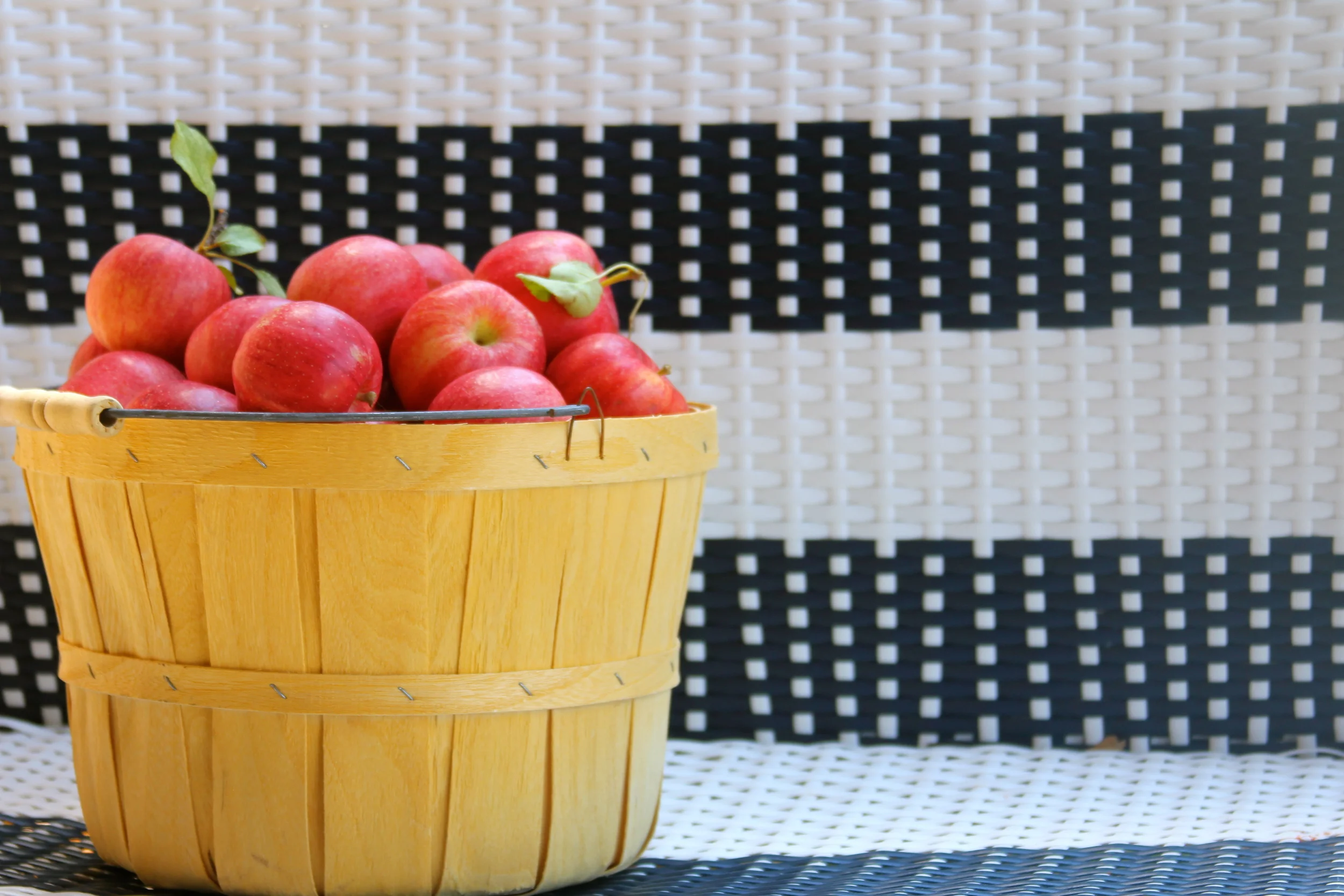 stories from (their) past + intentional family time