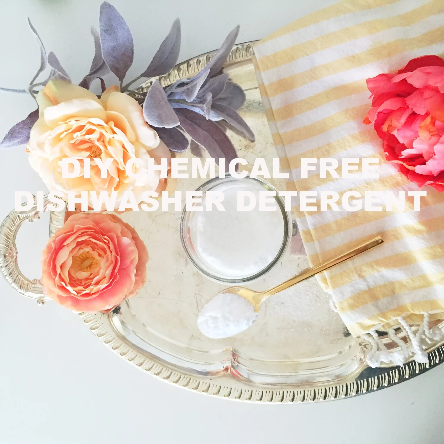 chemical free dishwasher detergent.jpeg