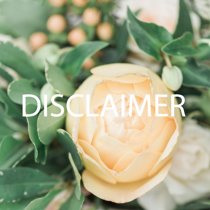 DISCLAIMER.png