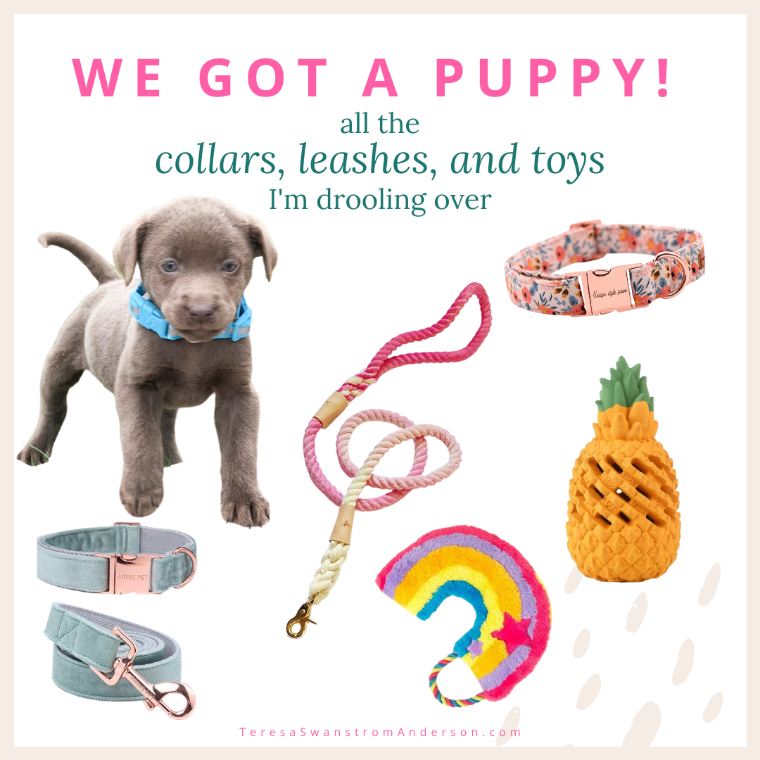 We Got a Puppy! (15+ of the CUTEST collars, leashes, and toys)