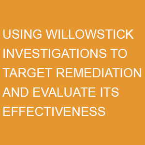 Using Willowstick Investigations to target remediation and evaluate its effectiveness.png