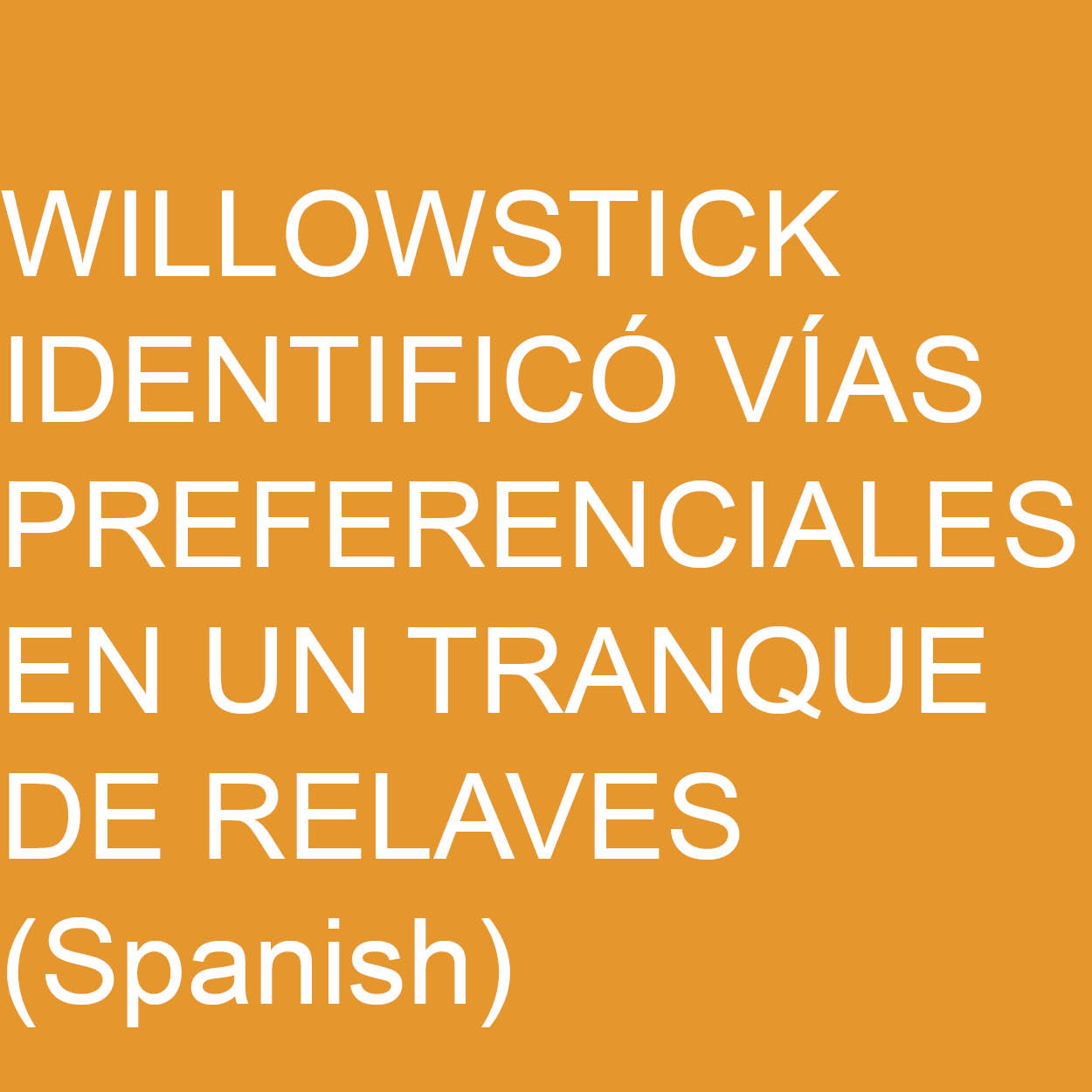 Willowstick Identifico via preferencialies en un tranque de relaves.jpg