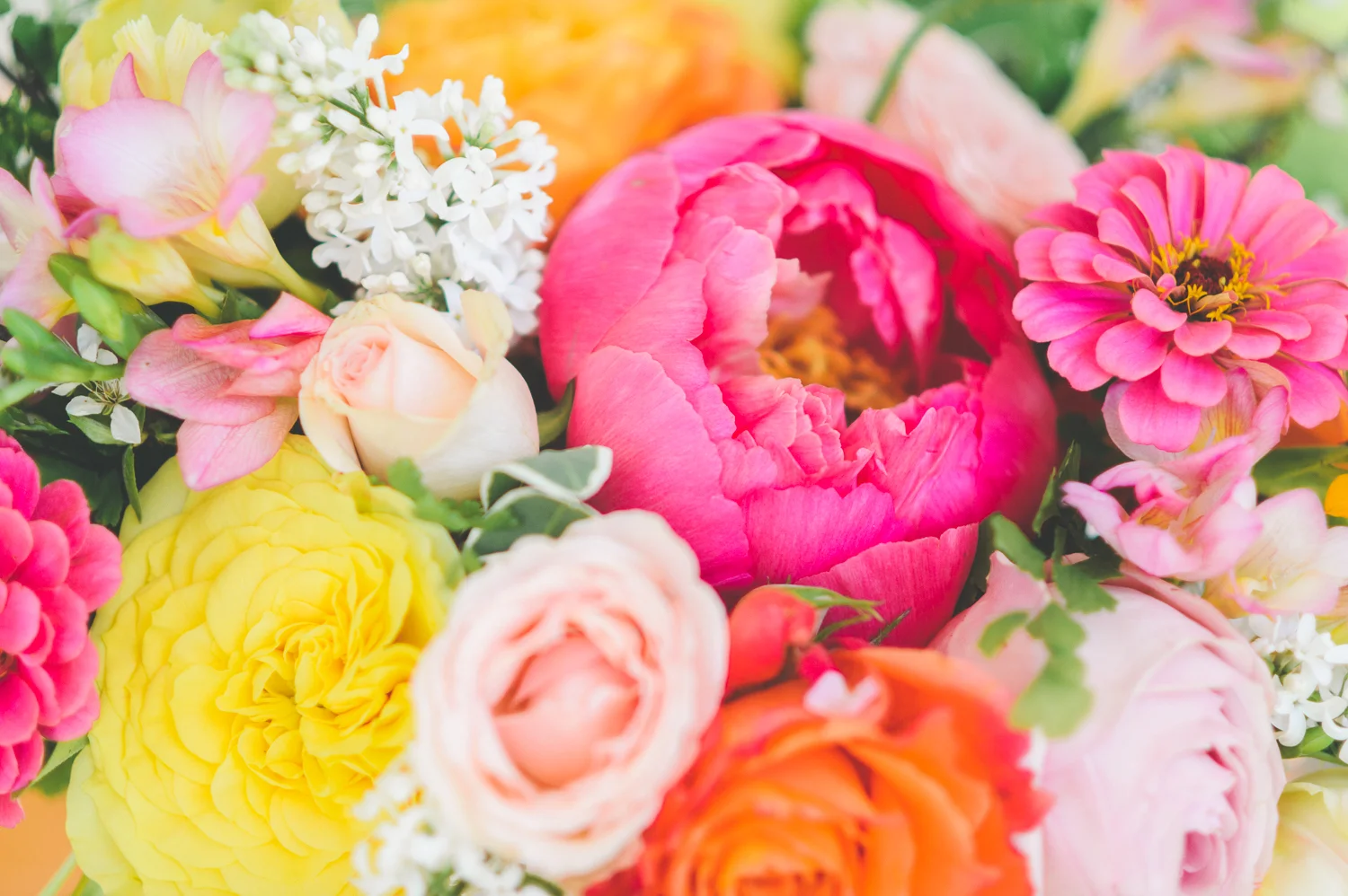love in bloom - 0007.jpg
