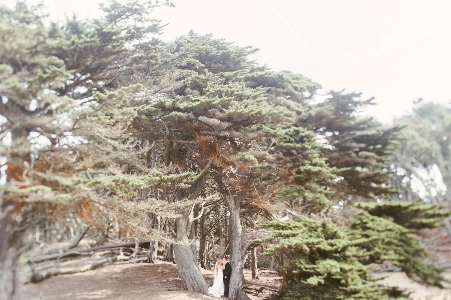 portfolio a - 0021.jpg